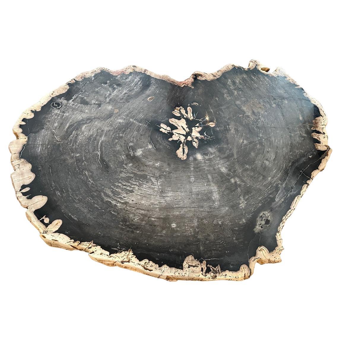 Andrianna Shamaris Heart Shaped Petrified Wood Coffee Table With Teak Base