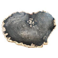 Andrianna Shamaris Heart Shaped Petrified Wood Coffee Table With Teak Base