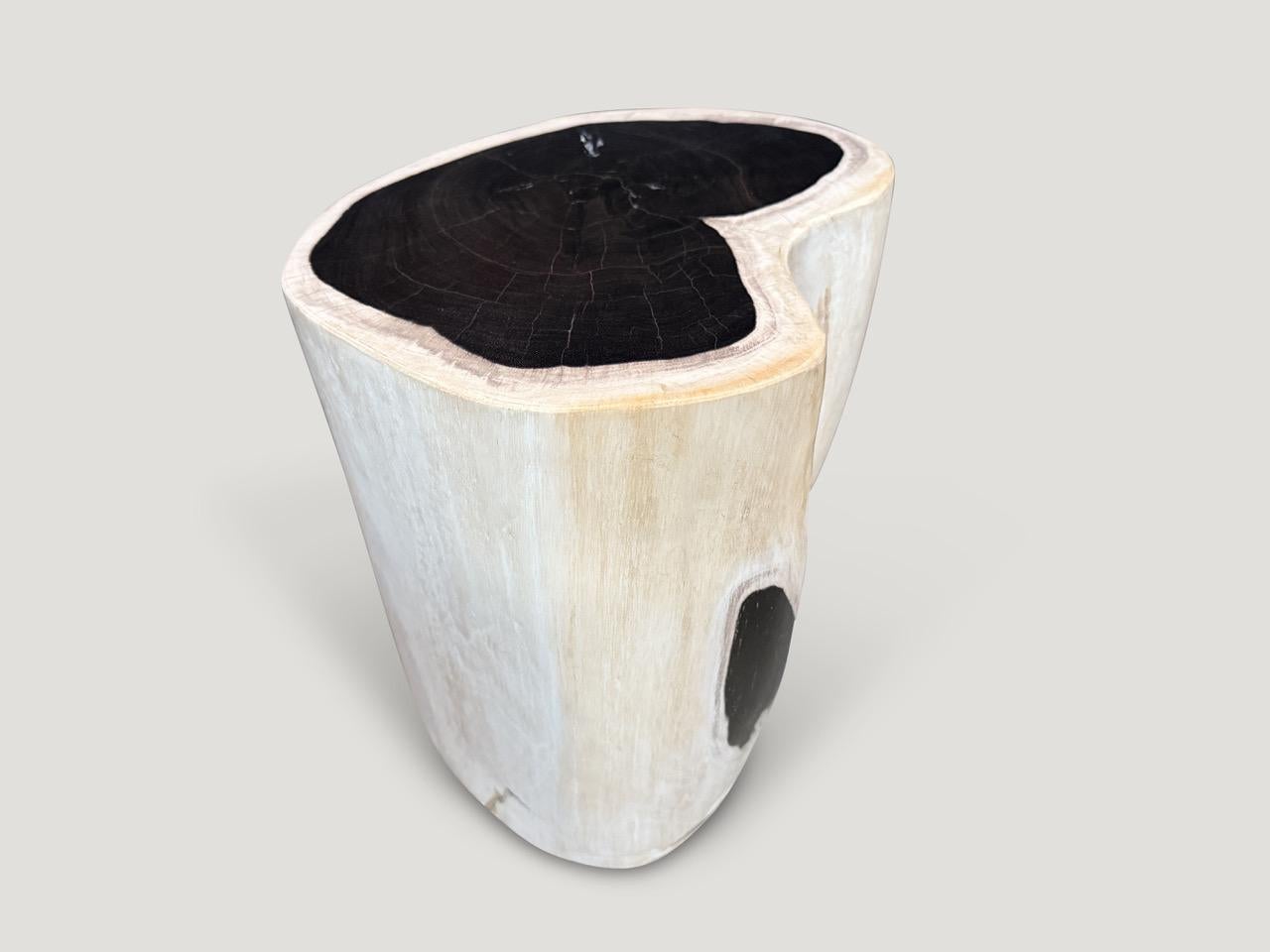 Cette table d'appoint en bois pétrifié de haute qualité et très lisse présente des contrastes impressionnants. Il est fascinant de voir comment Mère Nature produit ces stupéfiants troncs de teck pétrifiés vieux de 40 millions d'années, aux couleurs