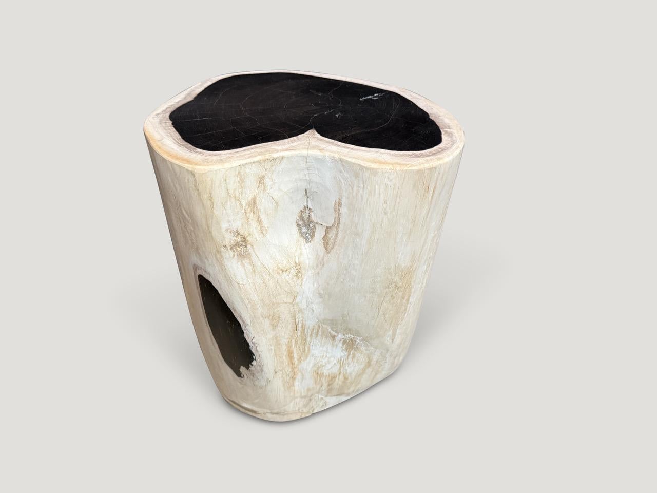 Organique Andrianna Shamaris Table d'appoint en bois pétrifié noir et blanc de haute qualité en vente