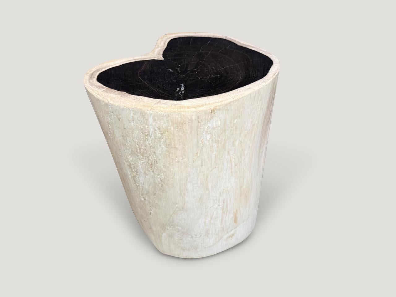 Andrianna Shamaris Table d'appoint en bois pétrifié noir et blanc de haute qualité Excellent état - En vente à New York, NY
