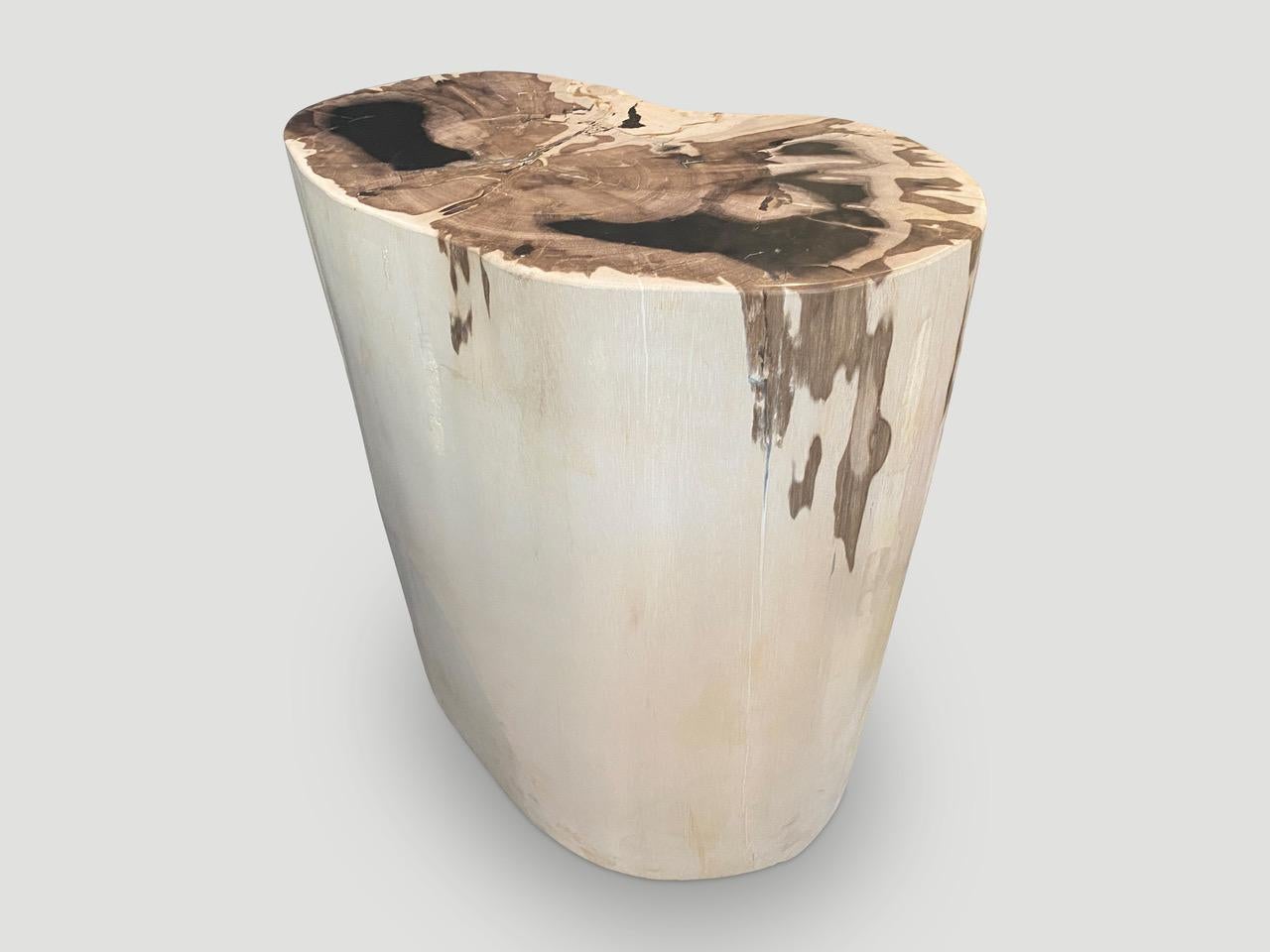 Beautiful impressive contrasting markings on this very rare, super smooth, high quality petrified wood side table. Exquisite. It’s fascinating how Mother Nature produces these stunning 40 million year old petrified teak logs with such contrasting