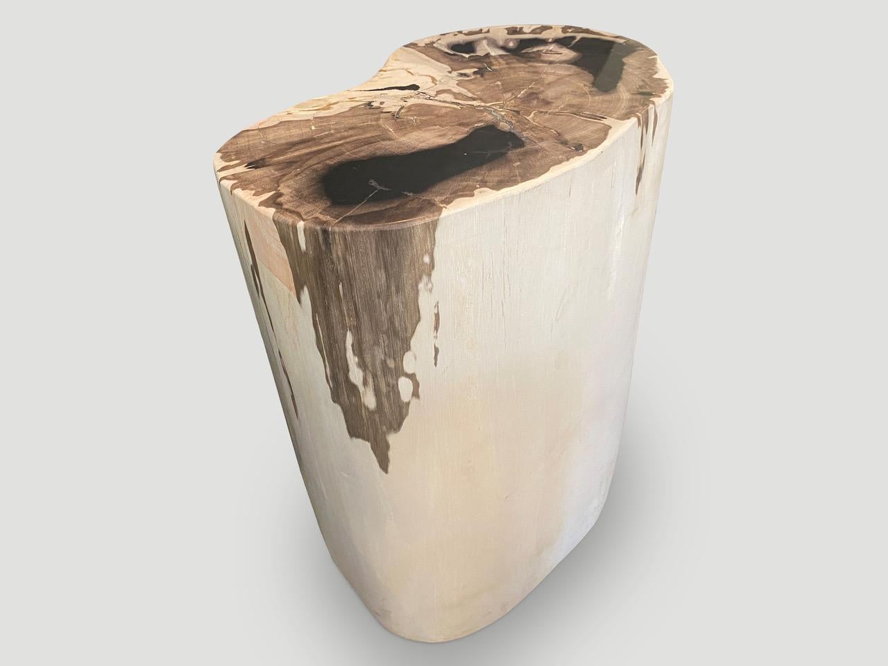 Organic Modern Andrianna Shamaris High Quality Exquisite Petrified Wood Side Table For Sale