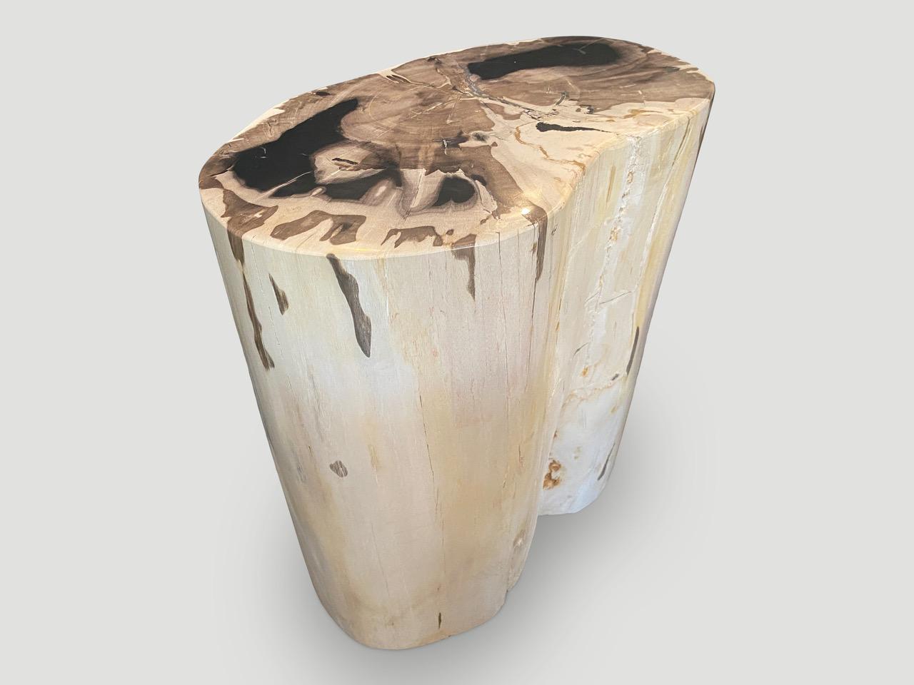 Andrianna Shamaris High Quality Exquisite Petrified Wood Side Table In Excellent Condition For Sale In New York, NY