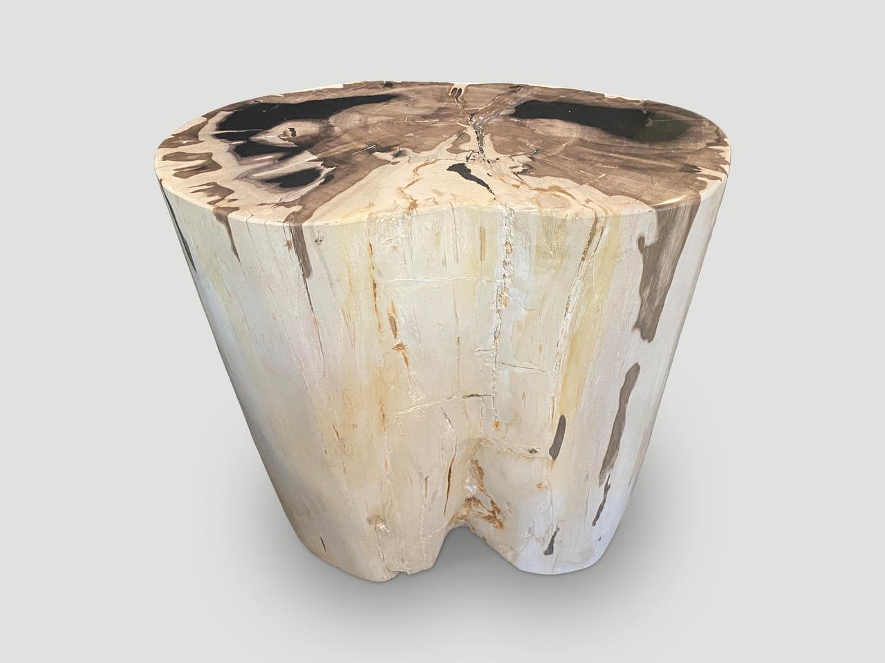 Contemporary Andrianna Shamaris High Quality Exquisite Petrified Wood Side Table For Sale