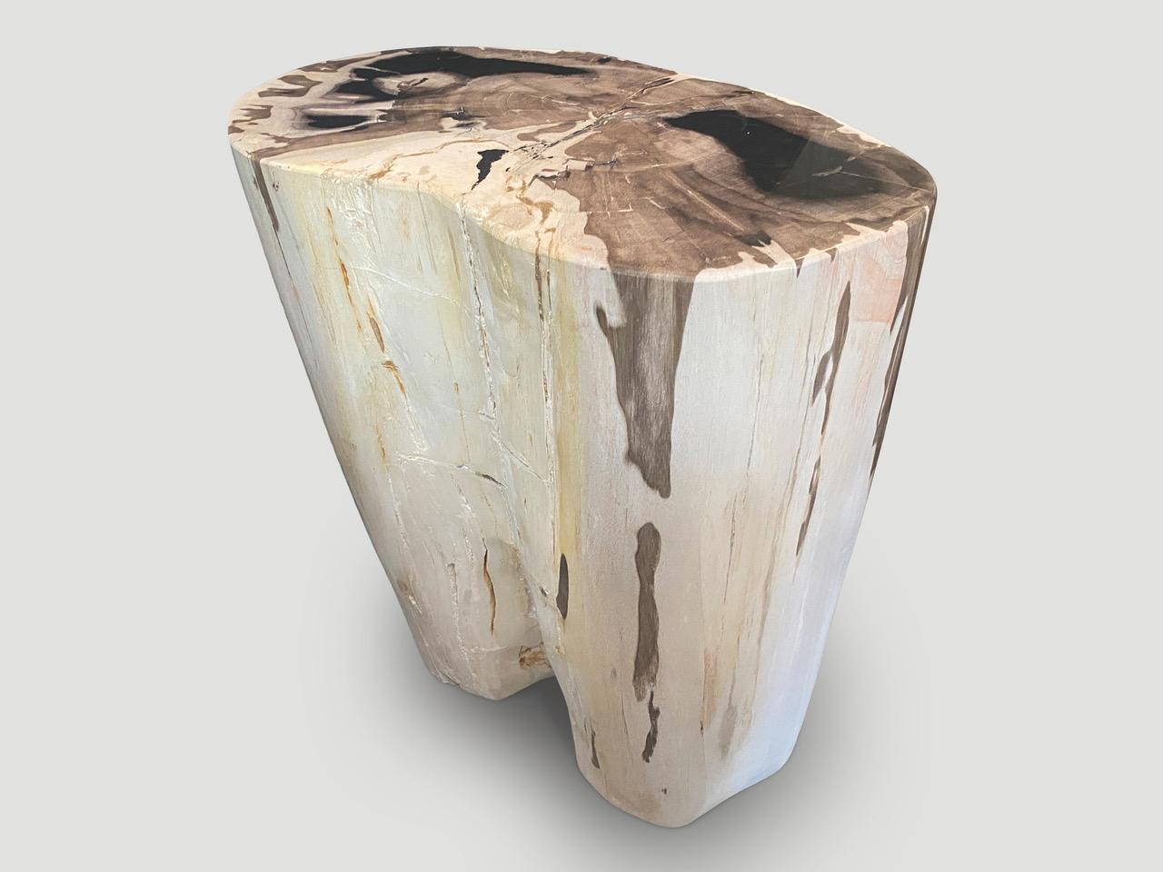 Andrianna Shamaris High Quality Exquisite Petrified Wood Side Table For Sale 1