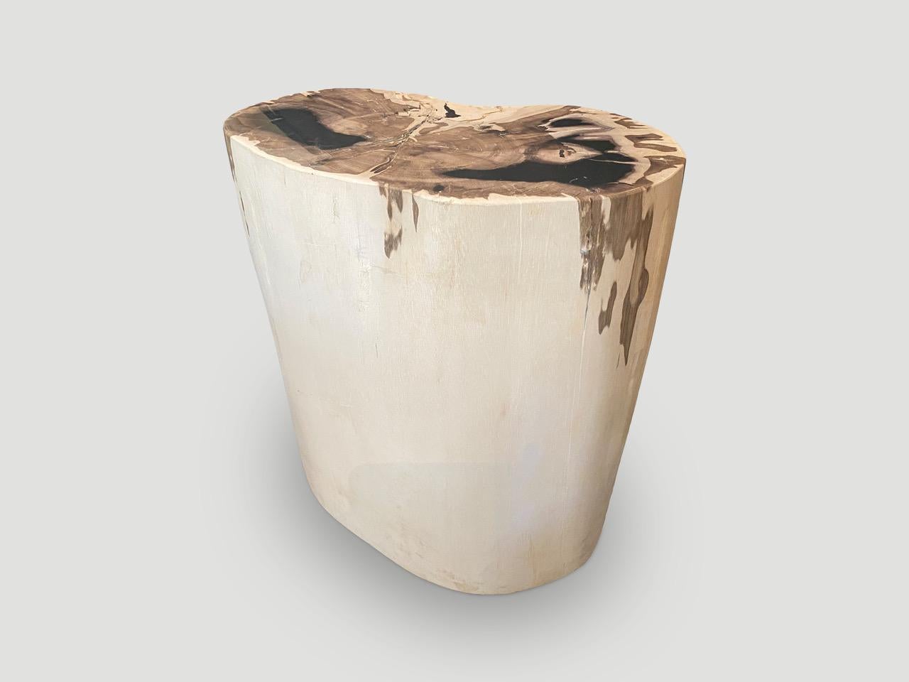 Andrianna Shamaris High Quality Exquisite Petrified Wood Side Table For Sale 2