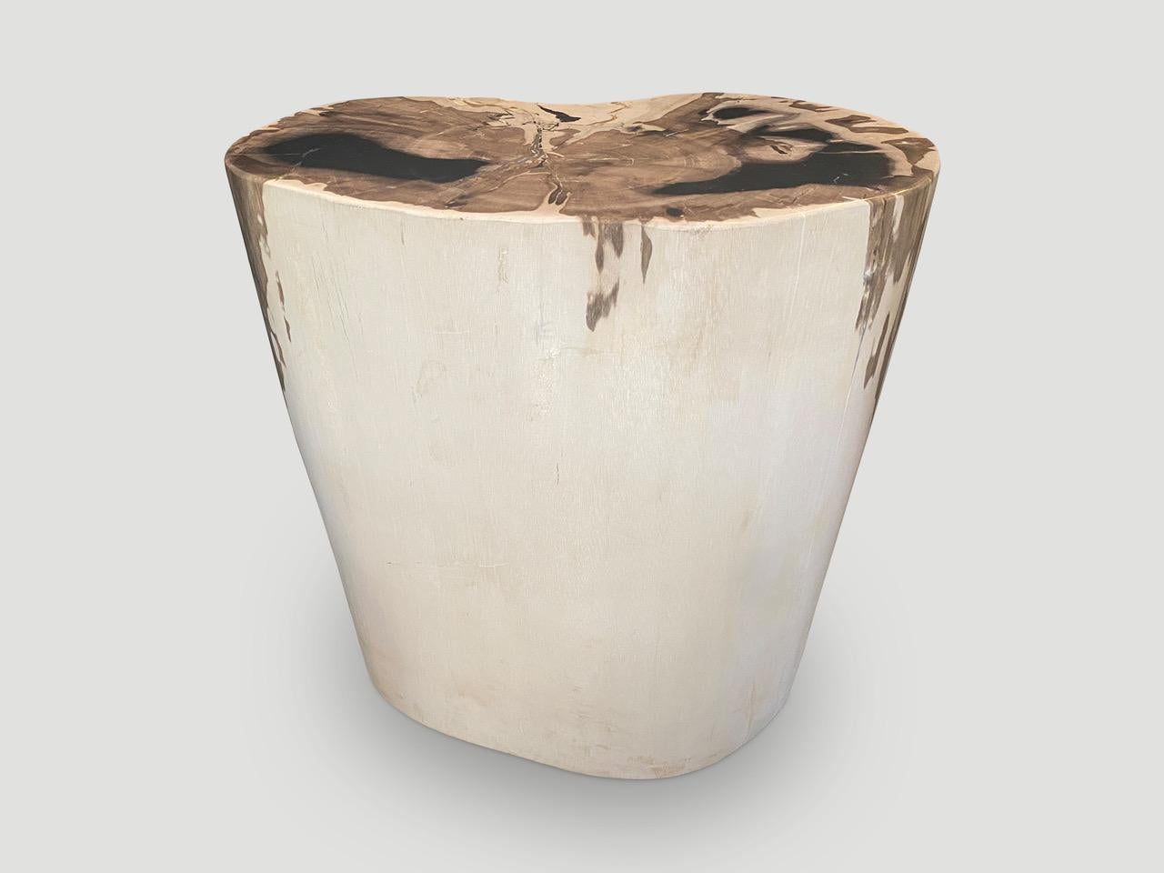 Andrianna Shamaris High Quality Exquisite Petrified Wood Side Table For Sale 3