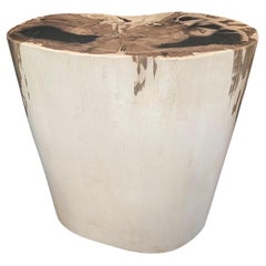 Andrianna Shamaris High Quality Exquisite Petrified Wood Side Table