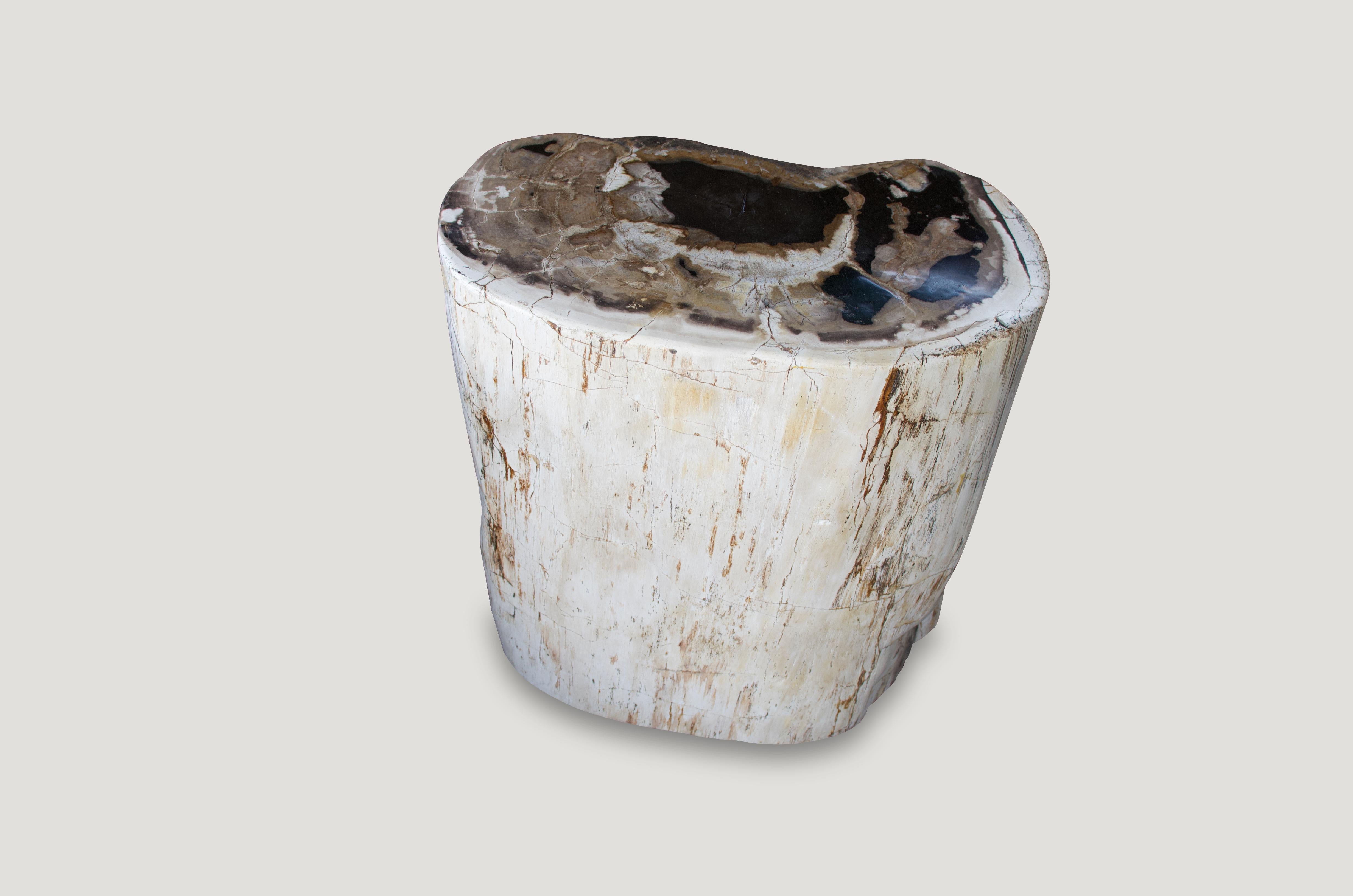 Fabulous shape on this contrasting earth toned high quality petrified wood side table.

As with a diamond, we polish the highest quality fossilized petrified wood, using our latest ground breaking technology, to reveal its natural beauty and