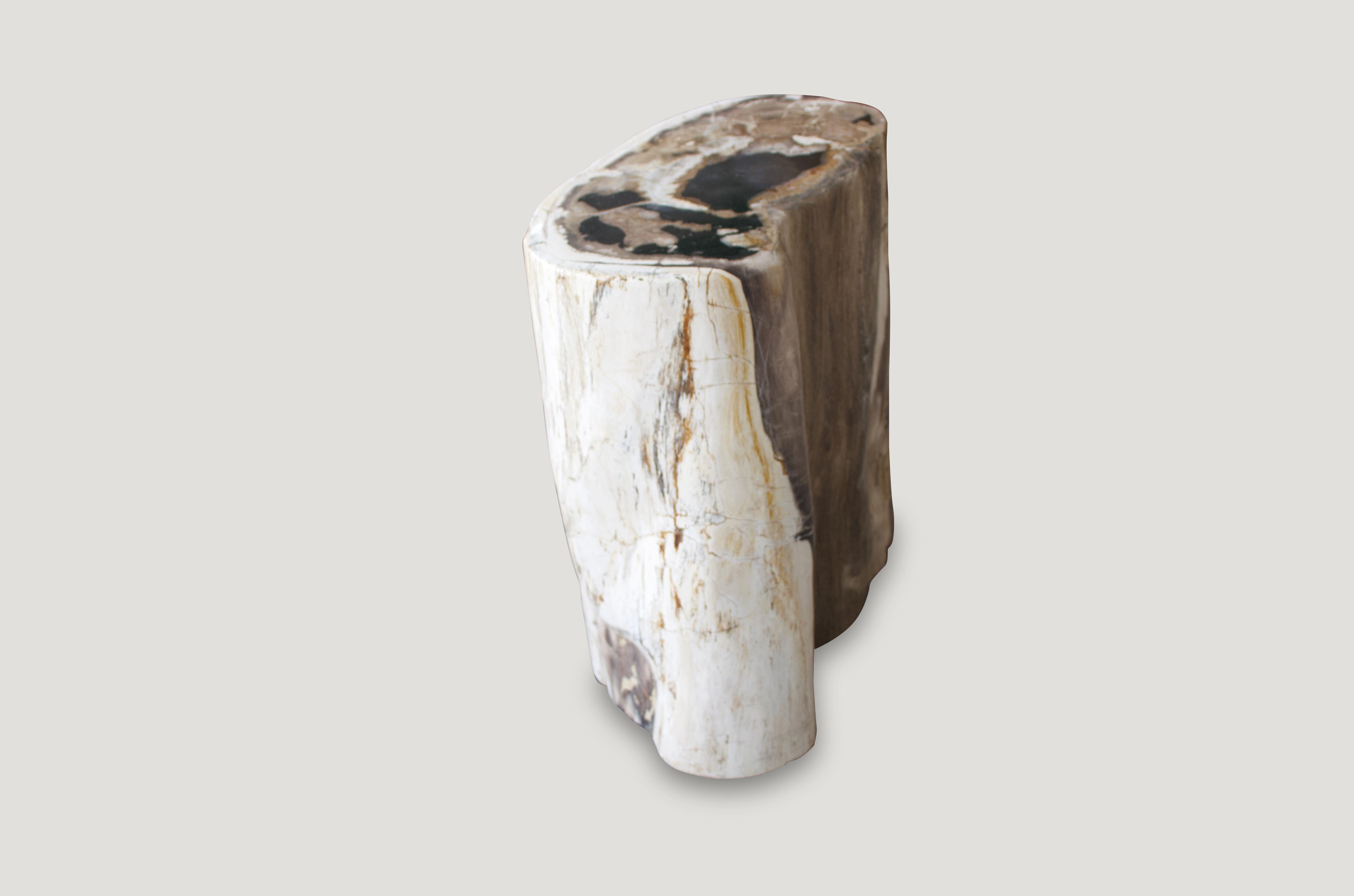 Andrianna Shamaris High Quality Oval Petrified Wood Side Table In Excellent Condition In New York, NY