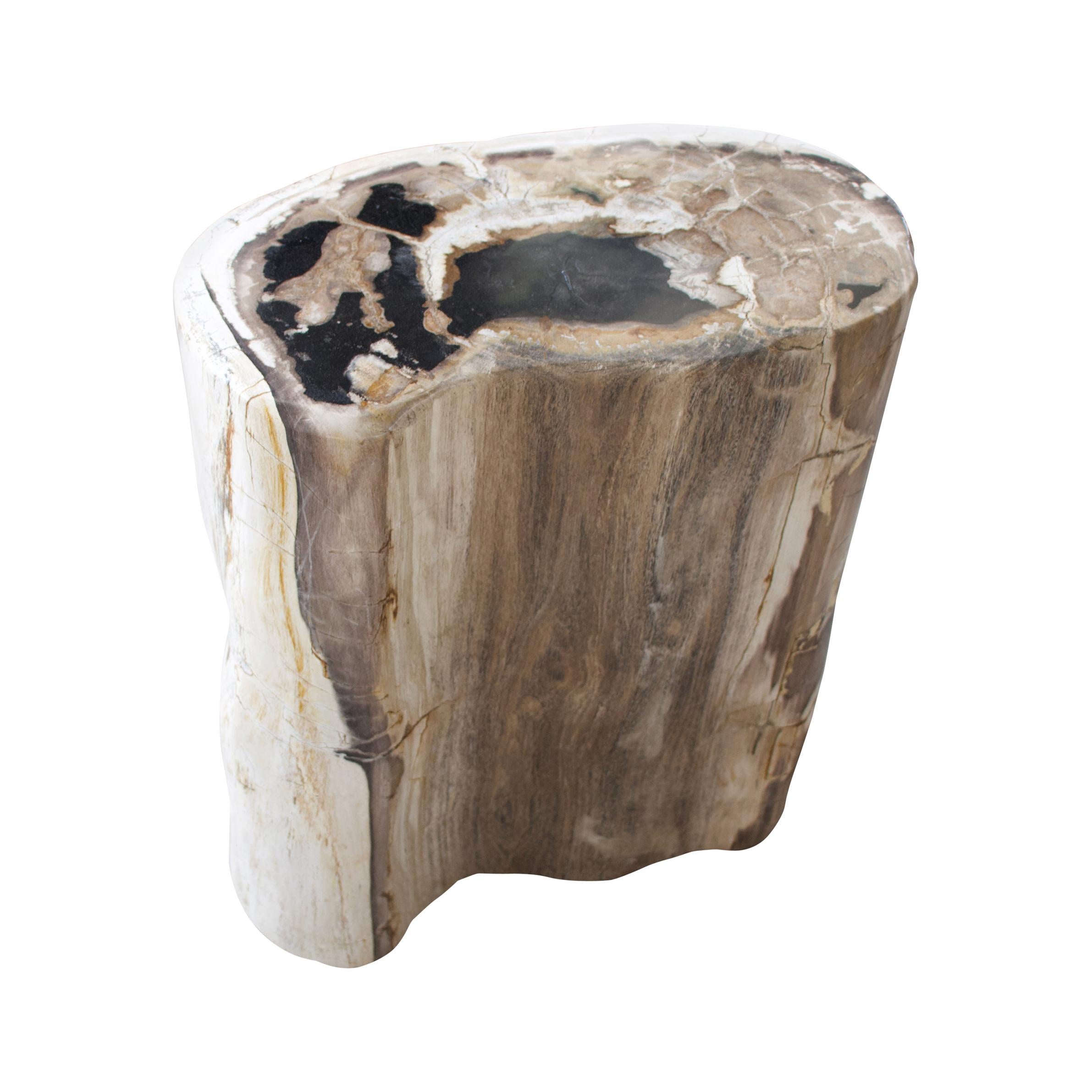 Andrianna Shamaris High Quality Oval Petrified Wood Side Table