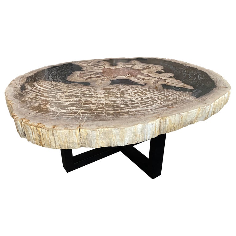 Andrianna Shamaris High Quality Petrified Wood And Cracked Resin Coffee Table For Sale At 1stdibs