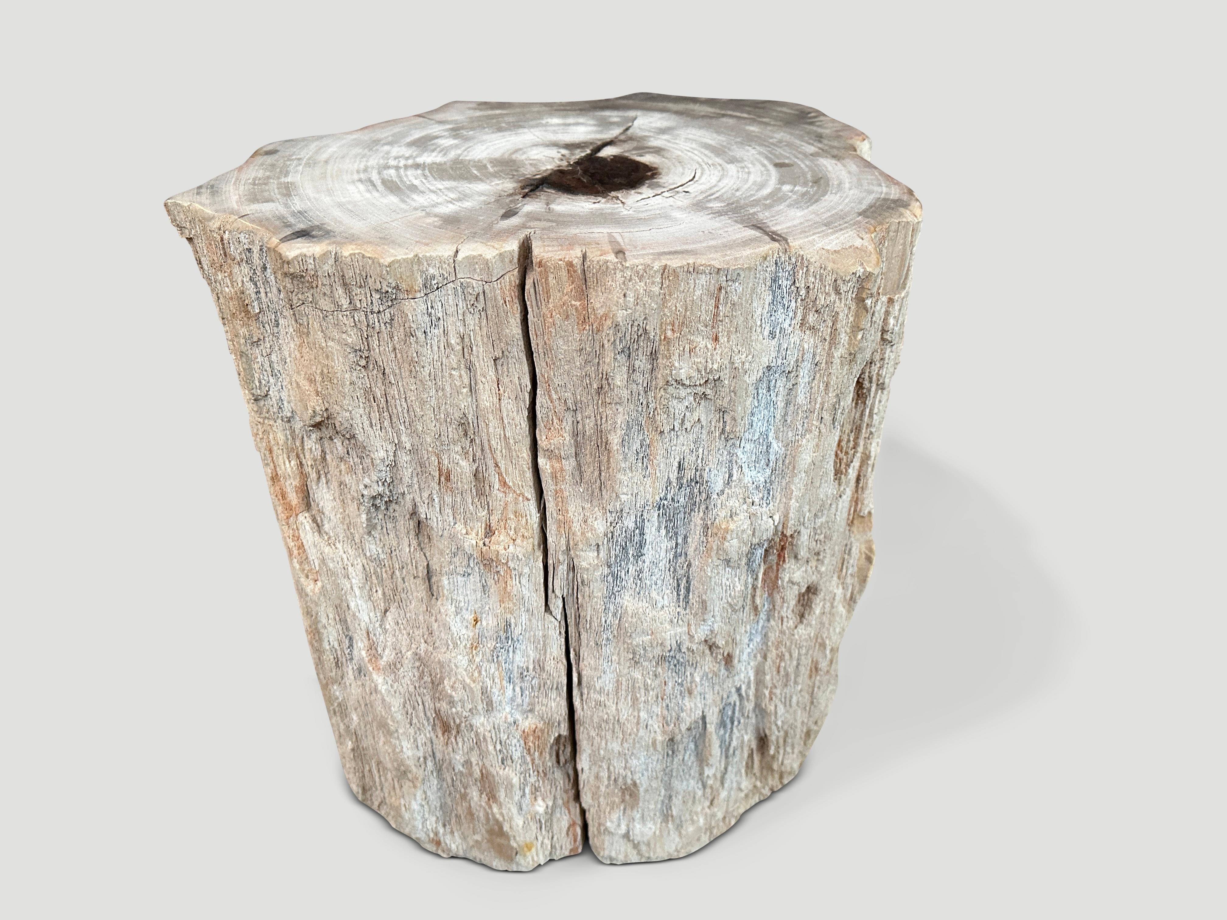 Beautiful neutral tones on this high quality petrified wood side table. A drop of resin was added to the top for usability and to preserve the natural crystals. The sides are left unpolished in contrast. We have a pair cut from the same log. The