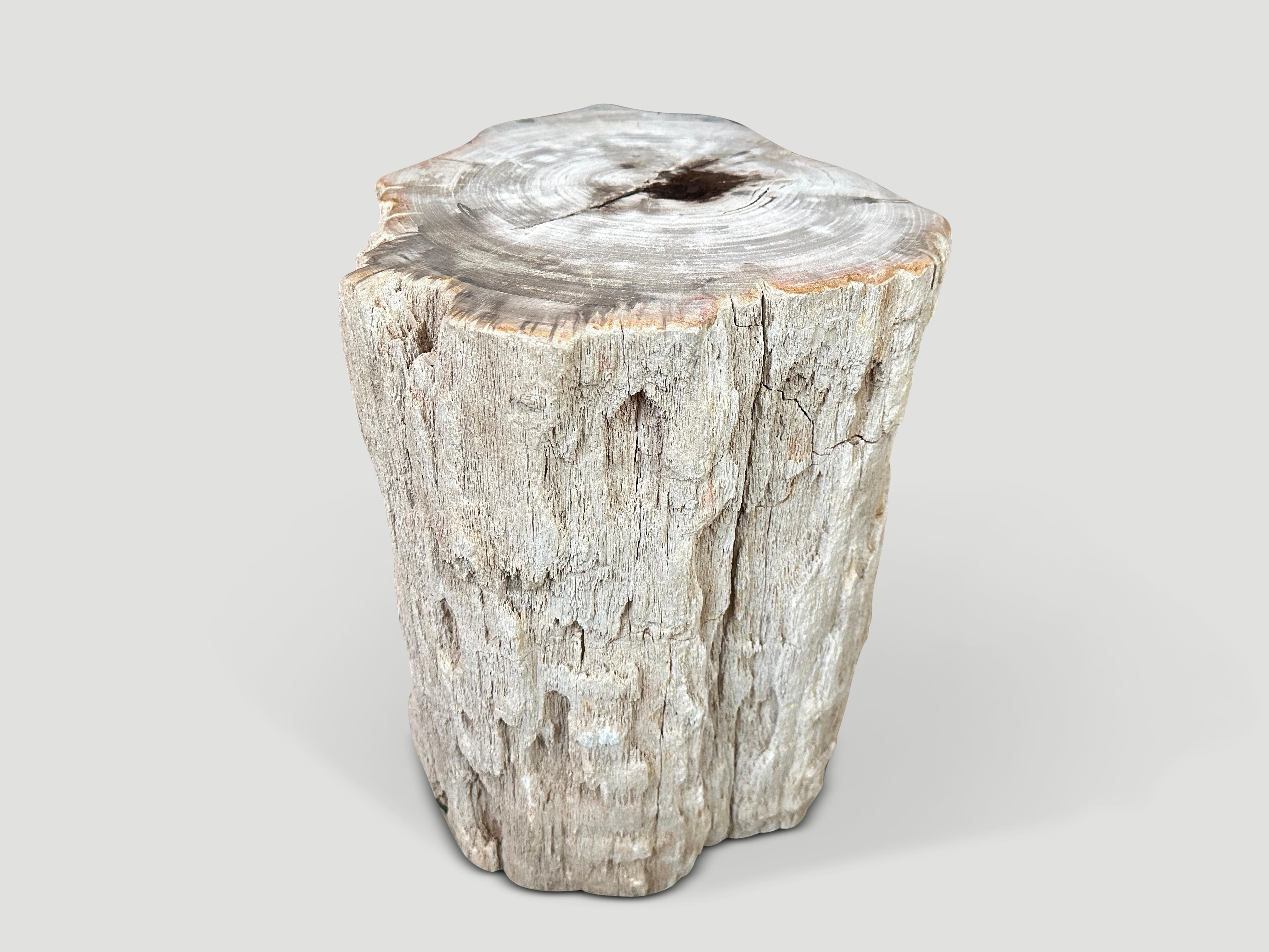 Beautiful neutral tones on this high quality petrified wood side table. A drop of resin was added to the top for usability and to preserve the natural crystals. The sides are left unpolished in contrast. We have a pair cut from the same log. The