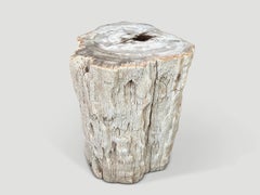 Andrianna Shamaris High Quality Petrified Wood and Resin Side Table