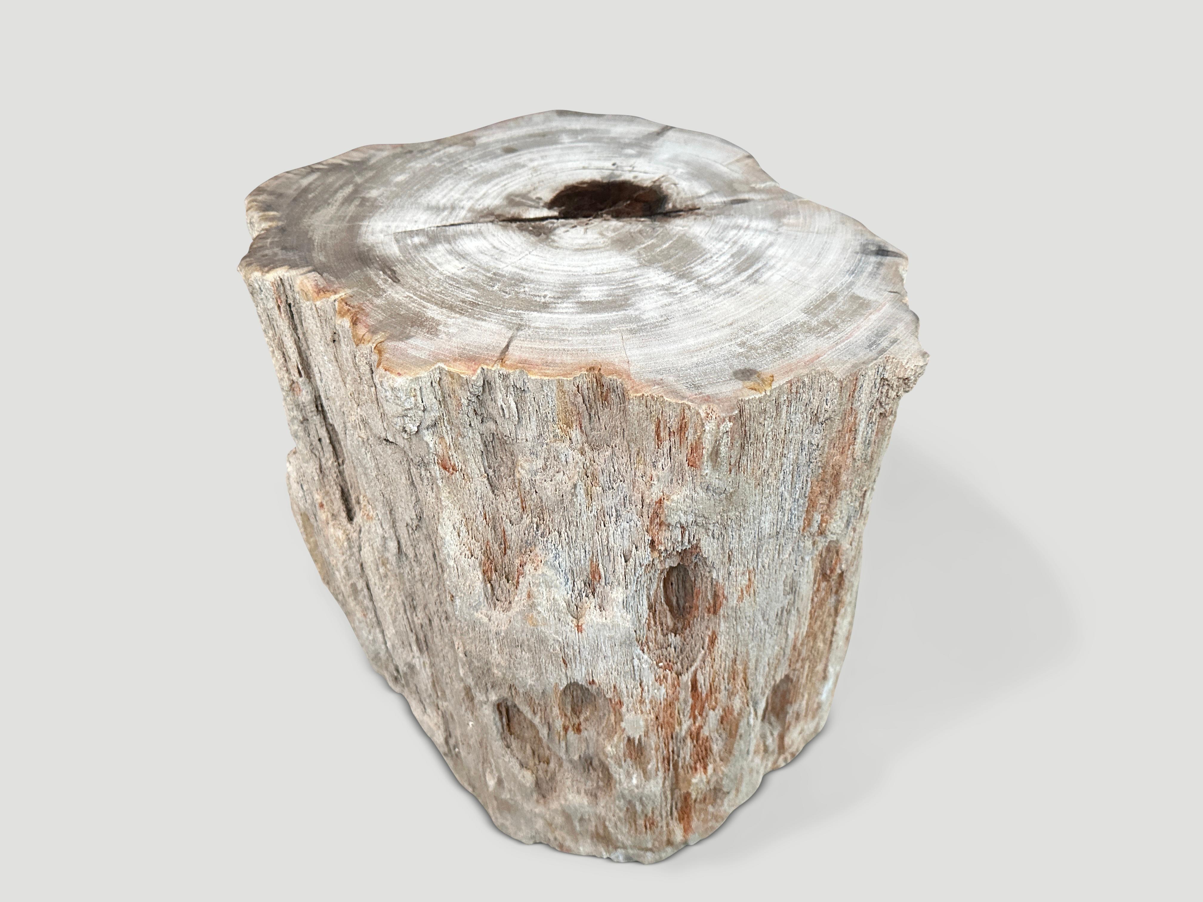 Andrianna Shamaris High Quality Petrified Wood and Resin Side Table In Excellent Condition In New York, NY