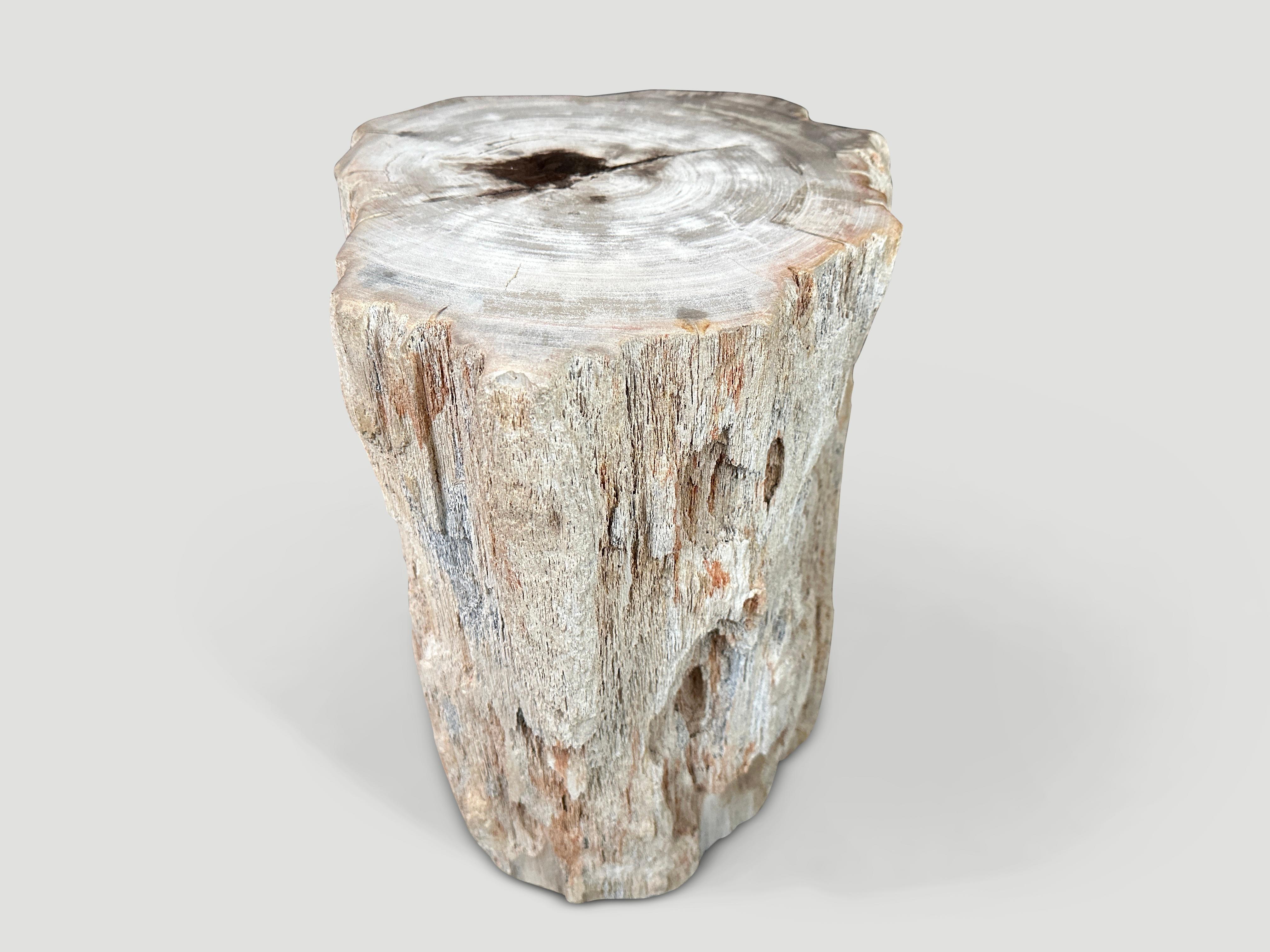 Andrianna Shamaris High Quality Petrified Wood and Resin Side Table In Excellent Condition In New York, NY