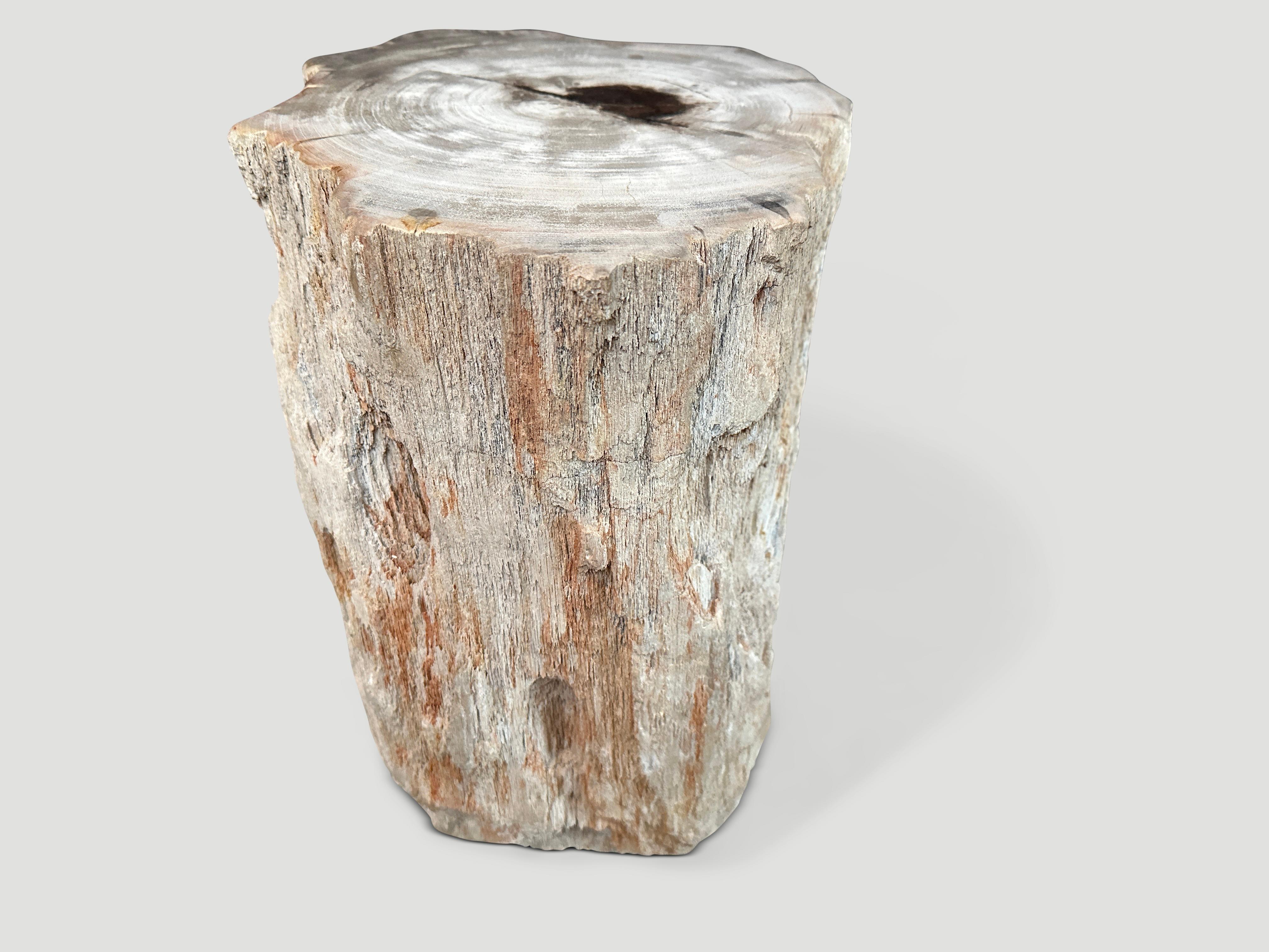Contemporary Andrianna Shamaris High Quality Petrified Wood and Resin Side Table