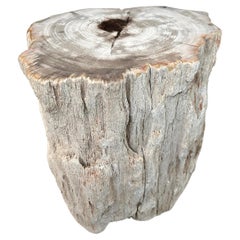 Andrianna Shamaris High Quality Petrified Wood and Resin Side Table