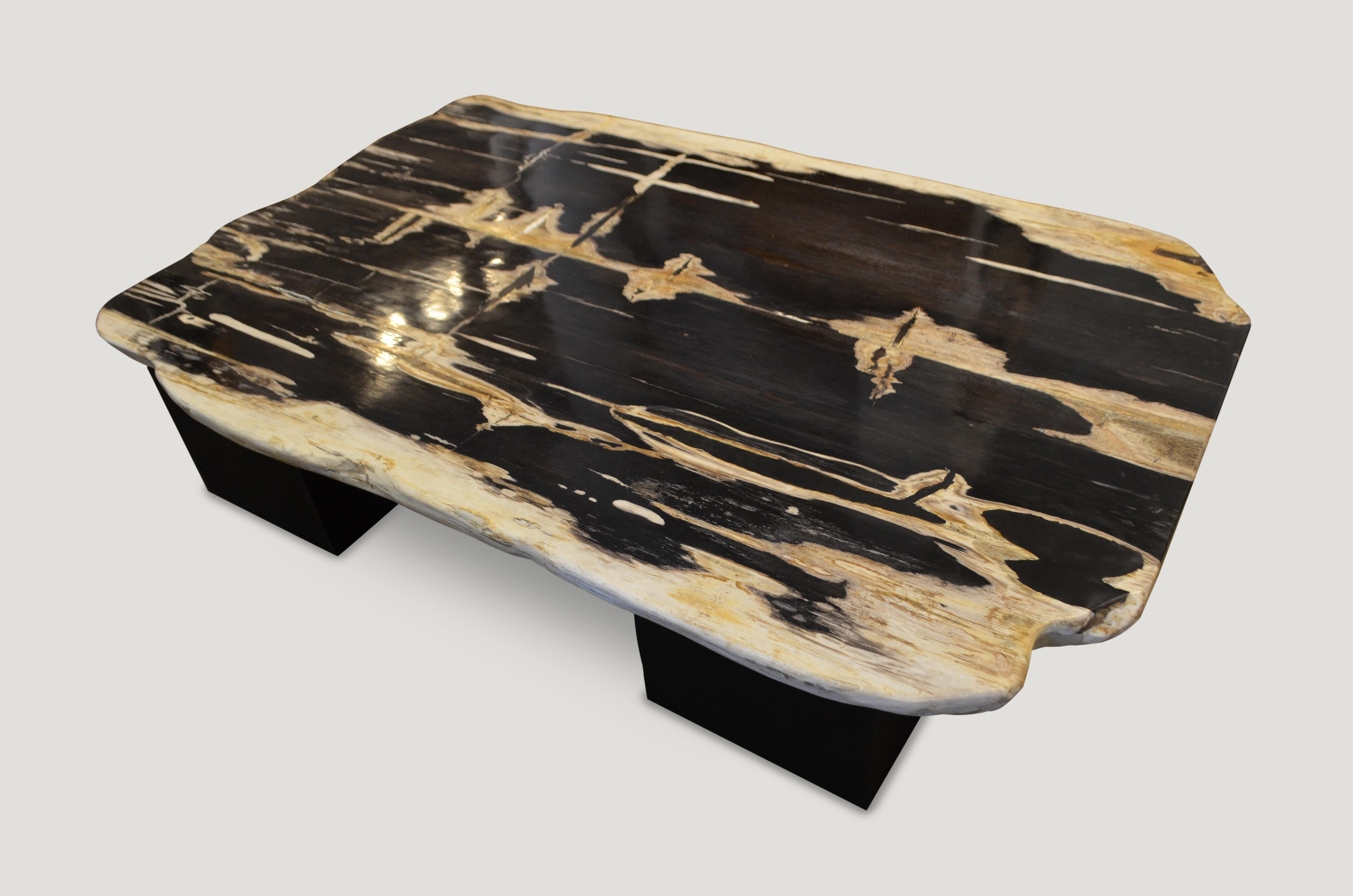 Organic Modern Andrianna Shamaris High Quality Petrified Wood Coffee Table