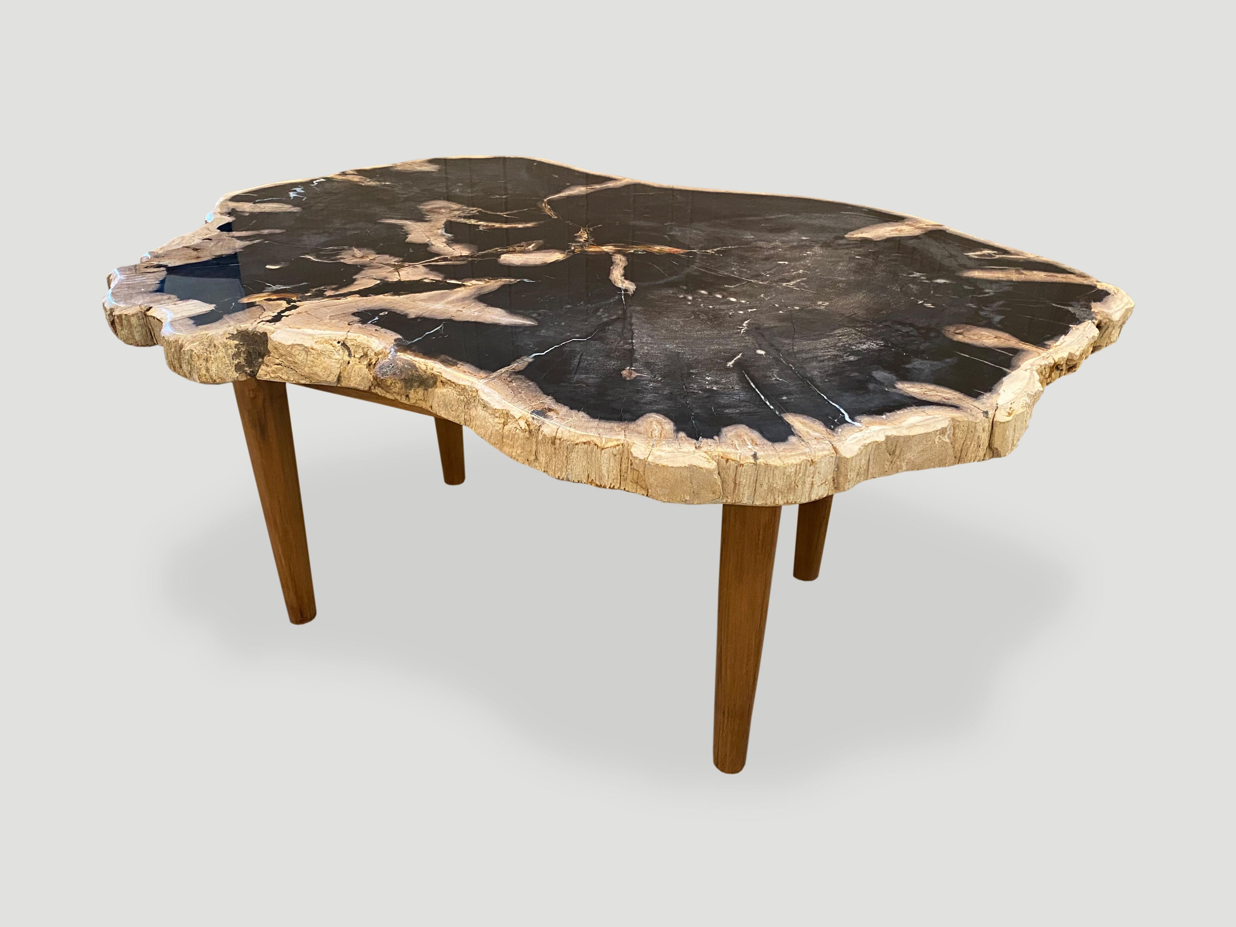 Beautiful live edge petrified wood slab coffee table resting on a natural teak base. So much better viewed in person as the glass like finish on this slab is unable to be captured in an image. We have a pair cut from the same log. The size and