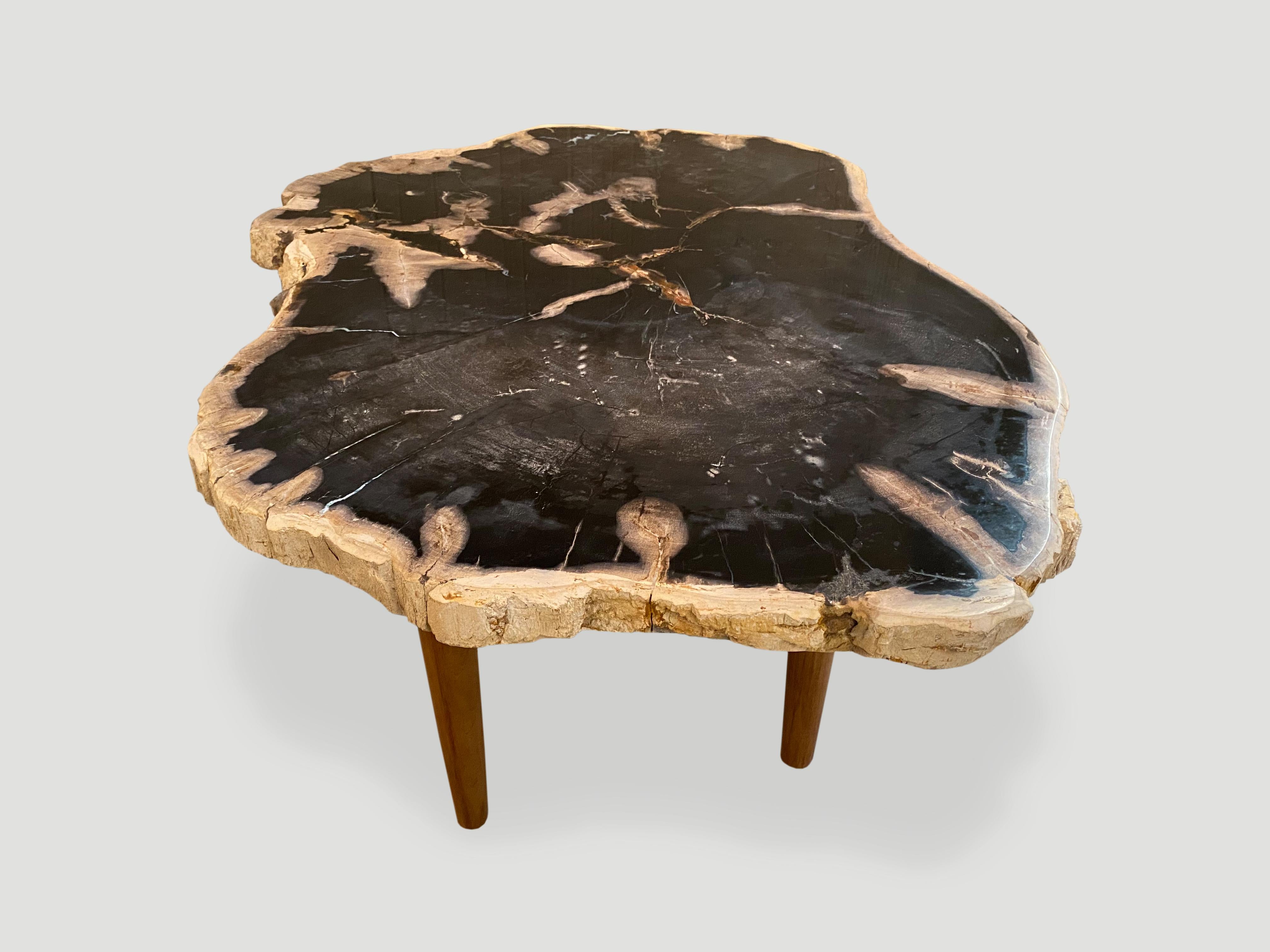 Contemporary Andrianna Shamaris High Quality Petrified Wood Coffee Table Natural Teak Base