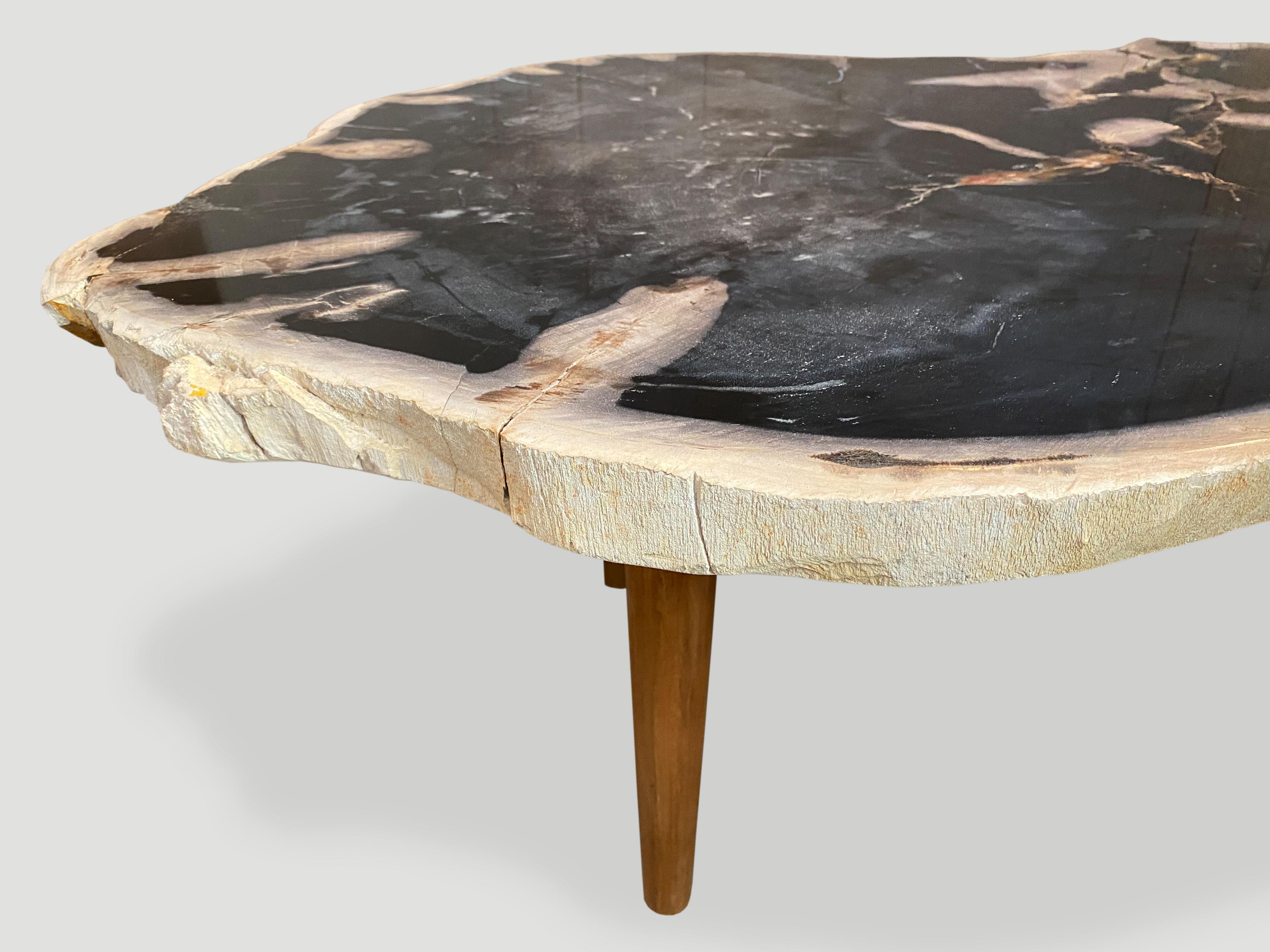 Andrianna Shamaris High Quality Petrified Wood Coffee Table Natural Teak Base 1