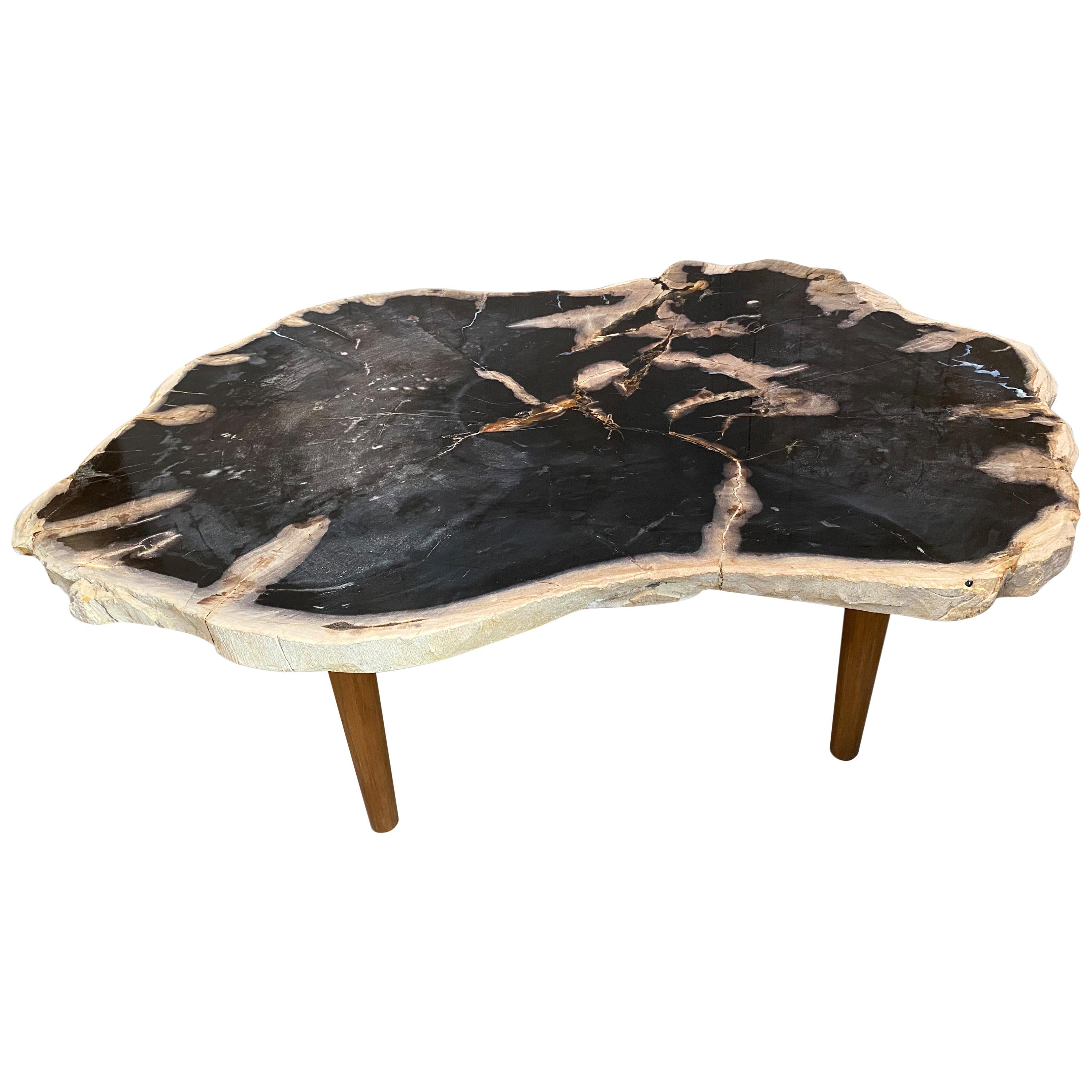 Andrianna Shamaris High Quality Petrified Wood Coffee Table Natural Teak Base