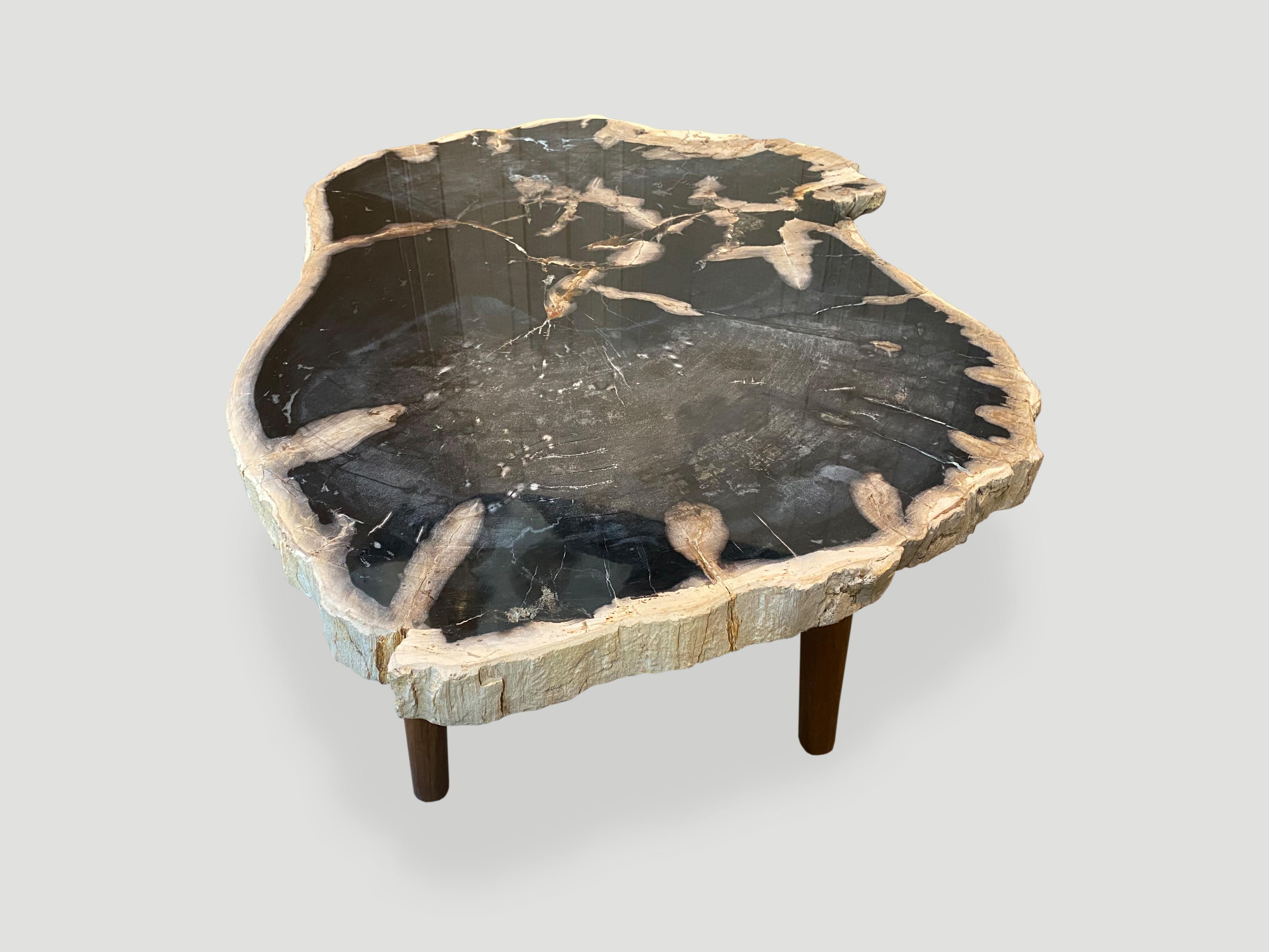 Magnifique table basse en bois pétrifié de 2