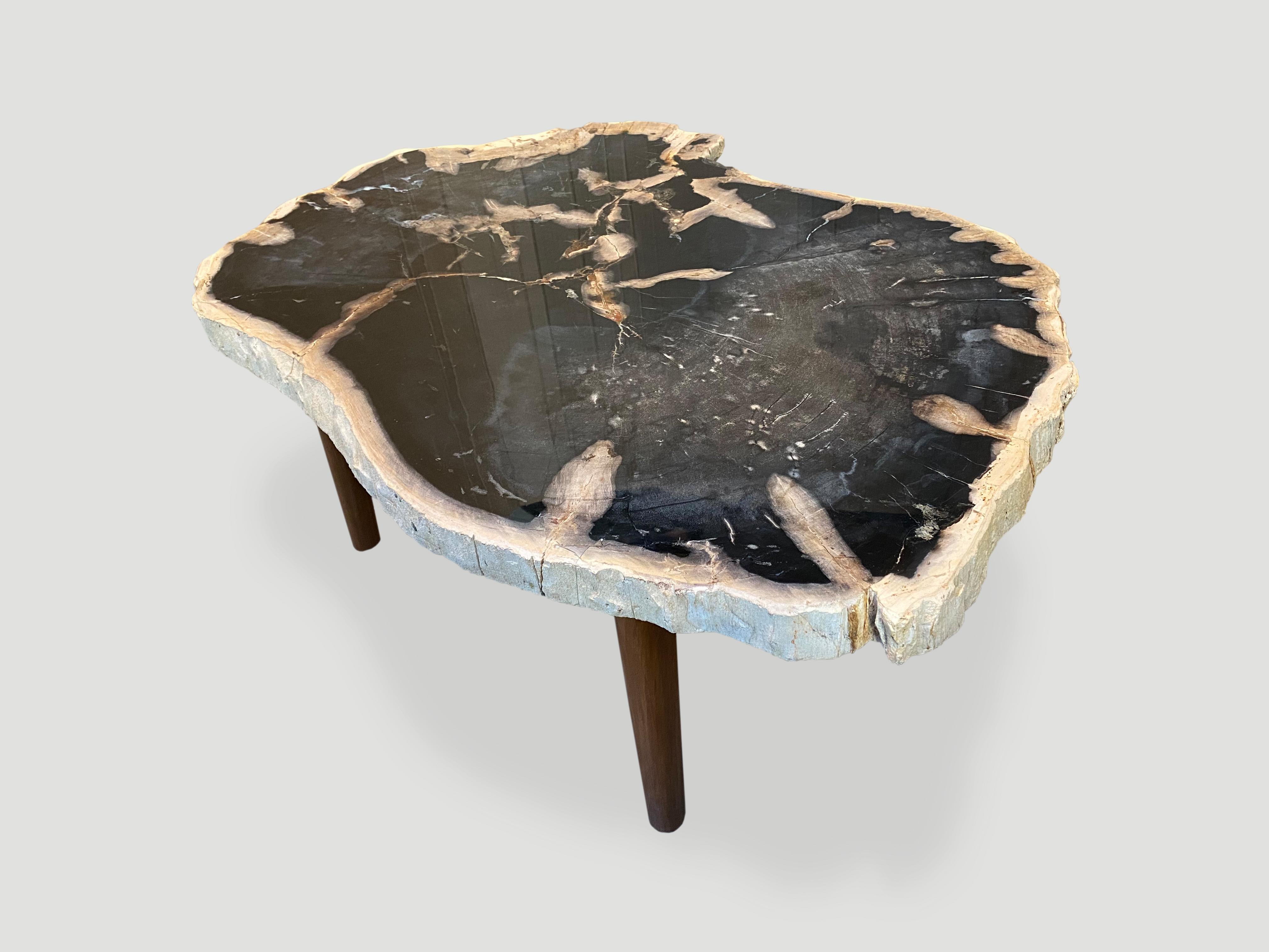 Contemporary Andrianna Shamaris High Quality Petrified Wood Coffee Table with Teak Wood Base For Sale