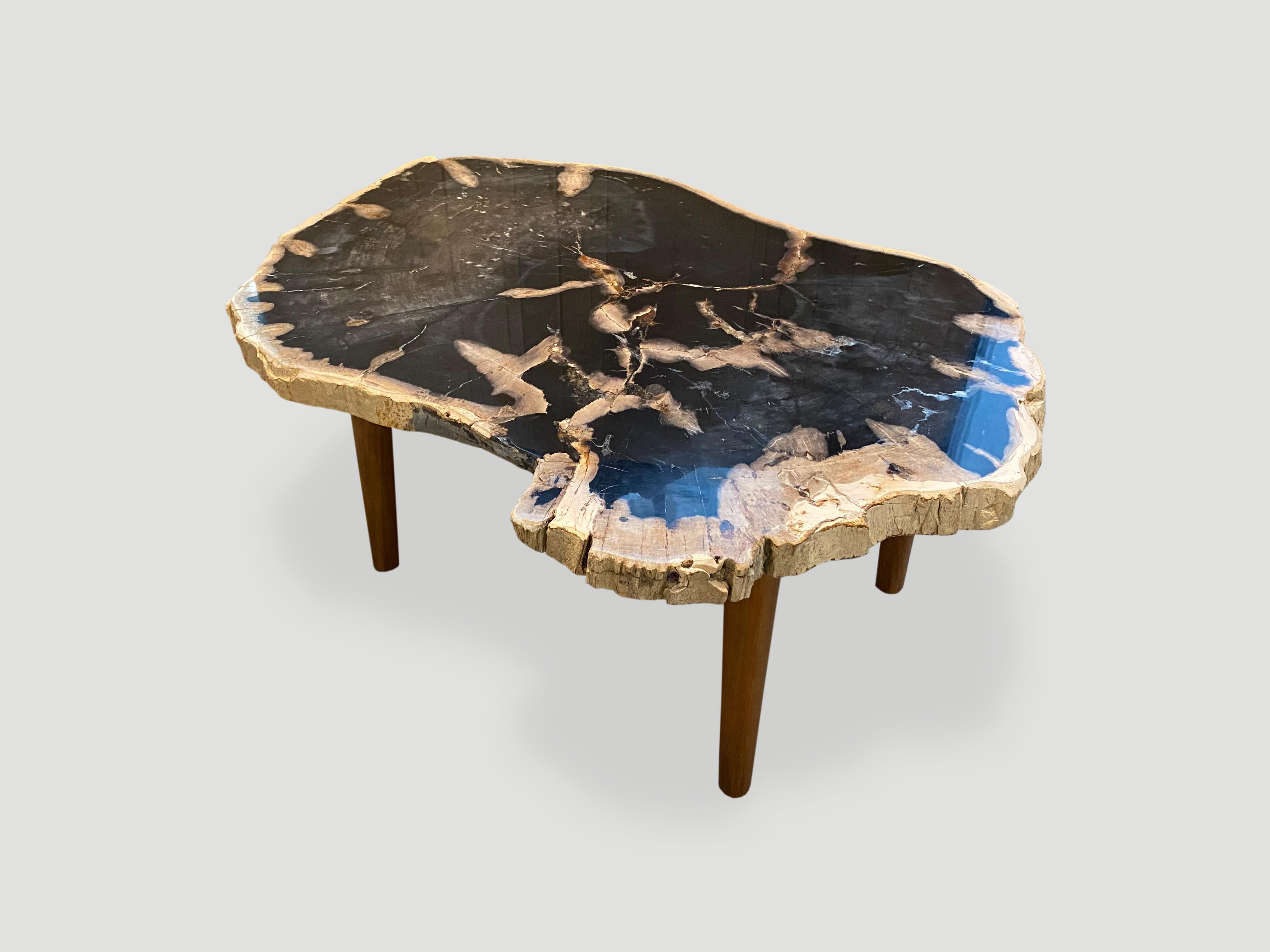 Metal Andrianna Shamaris High Quality Petrified Wood Coffee Table with Teak Wood Base For Sale