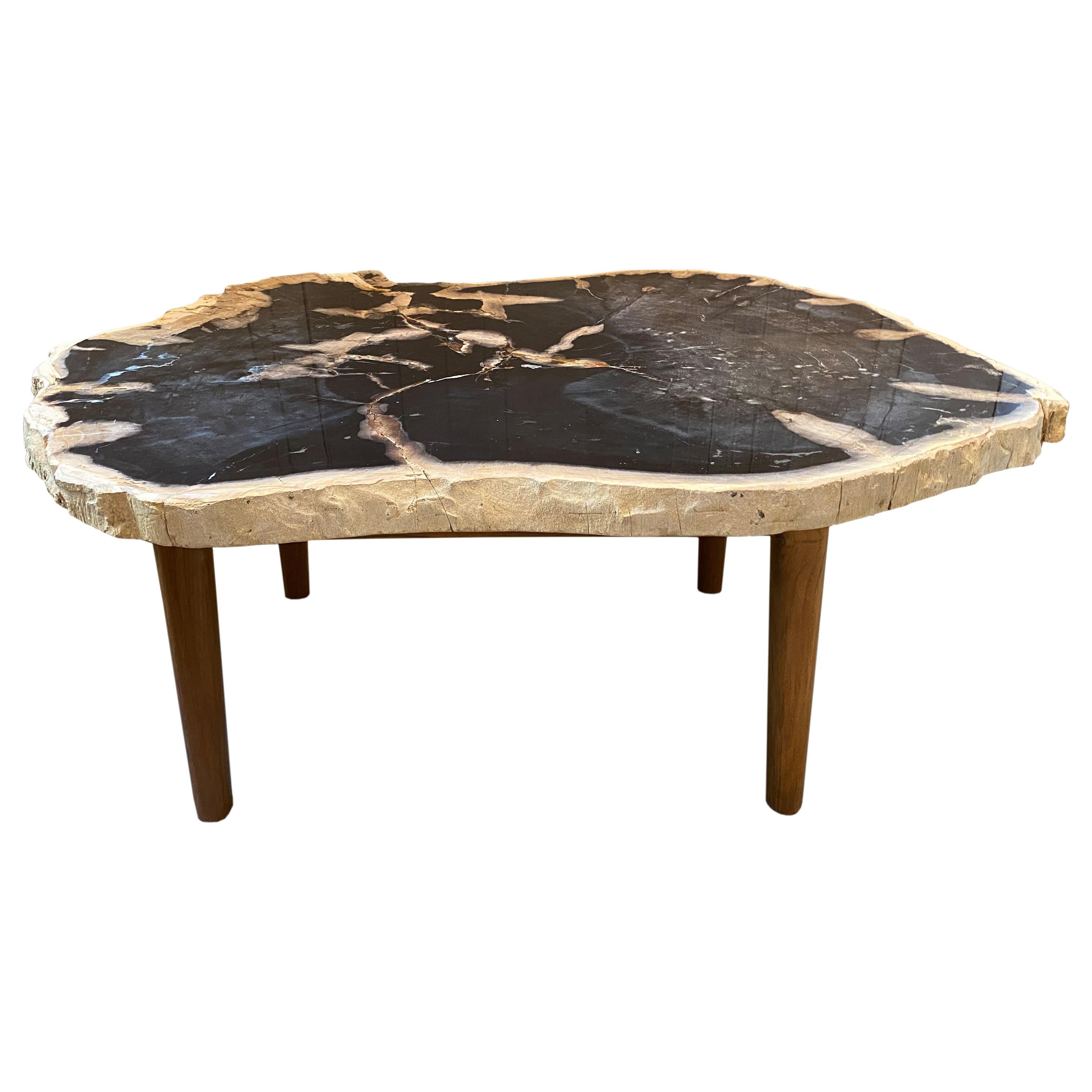 Andrianna Shamaris High Quality Petrified Wood Coffee Table with Teak Wood Base For Sale
