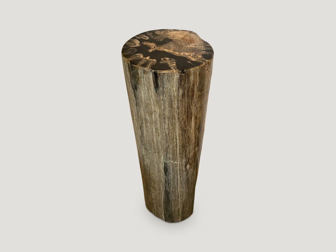 Beautiful earth tones on this high quality petrified wood pedestal or side table. It’s fascinating how Mother Nature produces these exquisite 40 million year old petrified teak logs with such contrasting colors and natural patterns throughout.