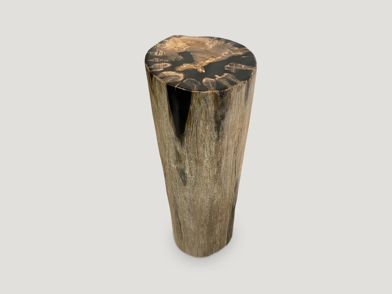 Organic Modern Andrianna Shamaris High Quality Petrified Wood Pedestal For Sale
