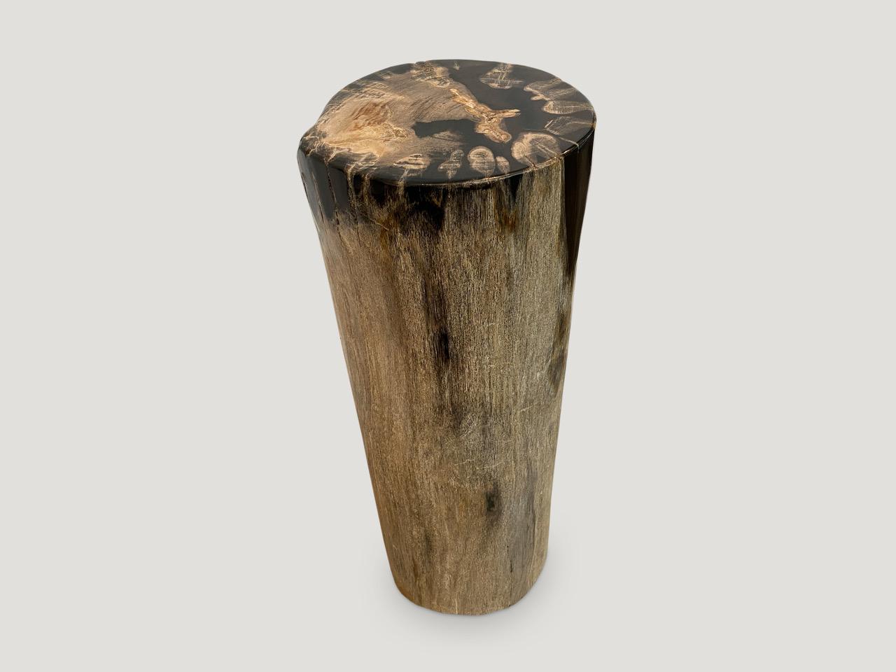 Andrianna Shamaris High Quality Petrified Wood Pedestal In Excellent Condition For Sale In New York, NY