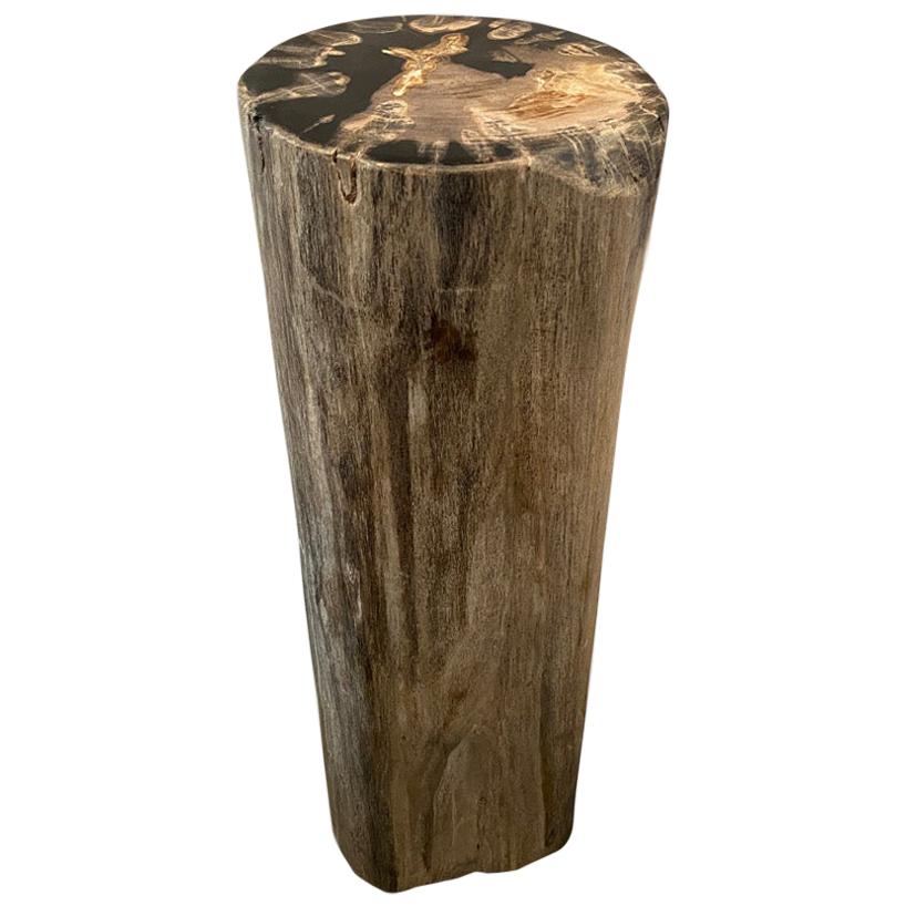 Andrianna Shamaris High Quality Petrified Wood Pedestal