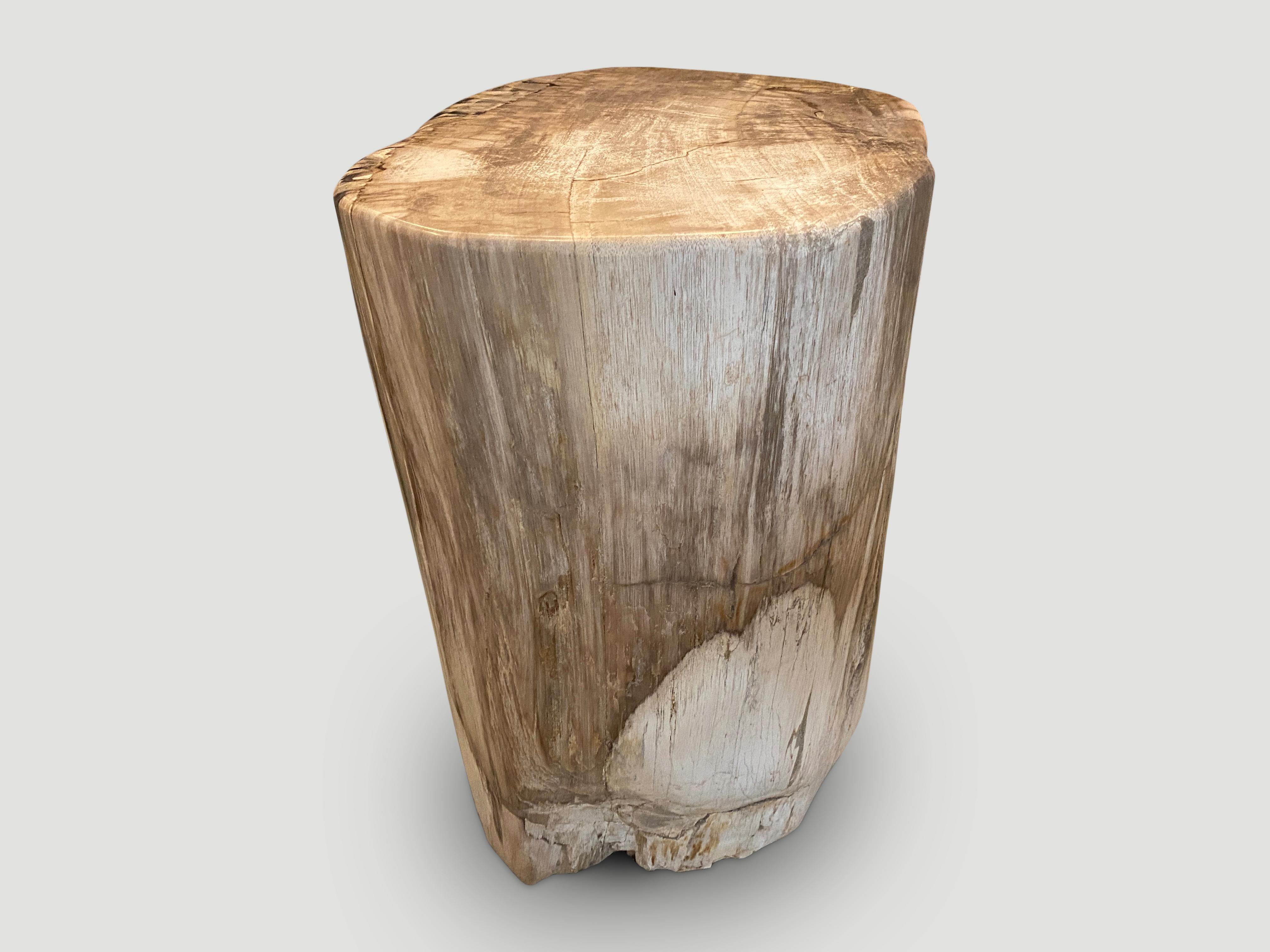 Beautiful neutral tones on this high quality petrified wood side table or pedestal. It’s fascinating how Mother Nature produces these stunning 40 million year old petrified teak logs with such contrasting colors and natural patterns throughout.