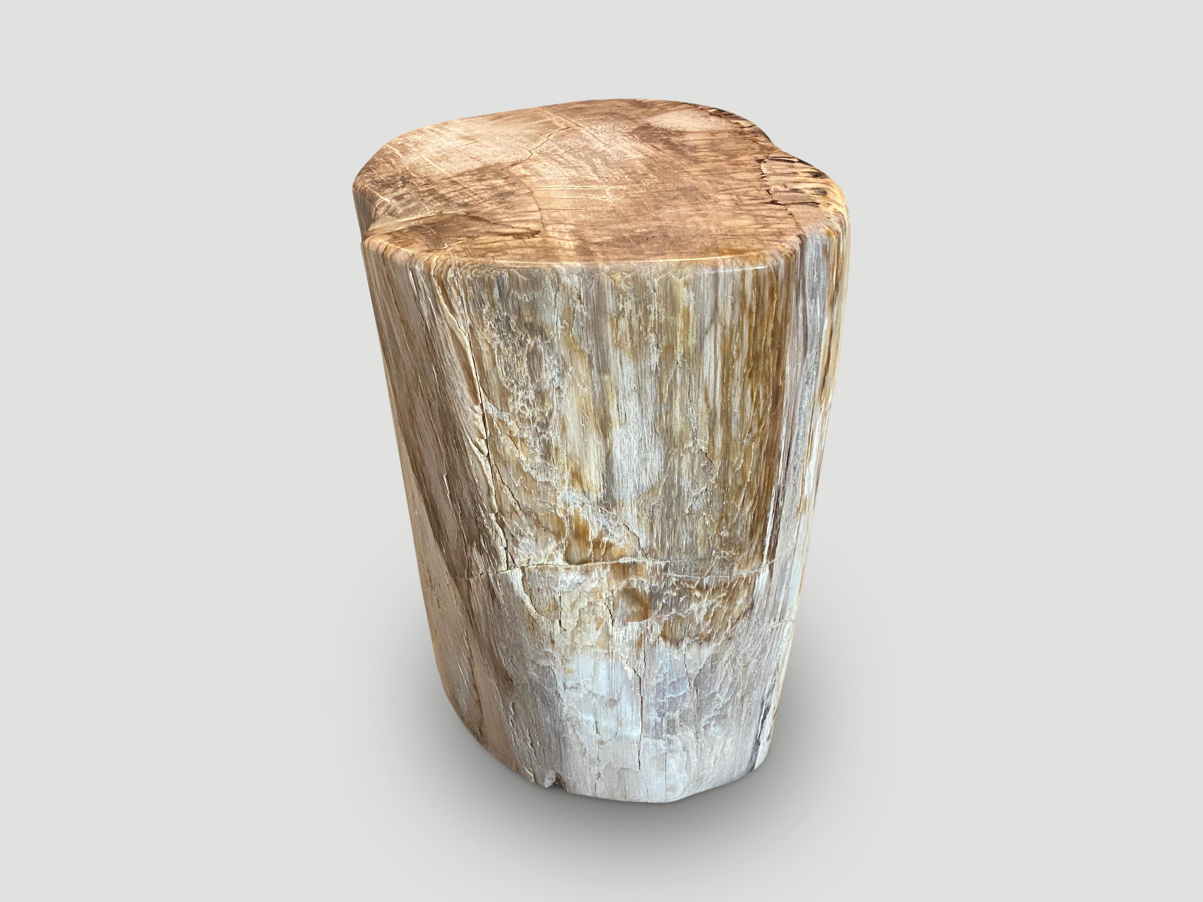 Organic Modern Andrianna Shamaris High Quality Petrified Wood Pedestal or Side Table For Sale