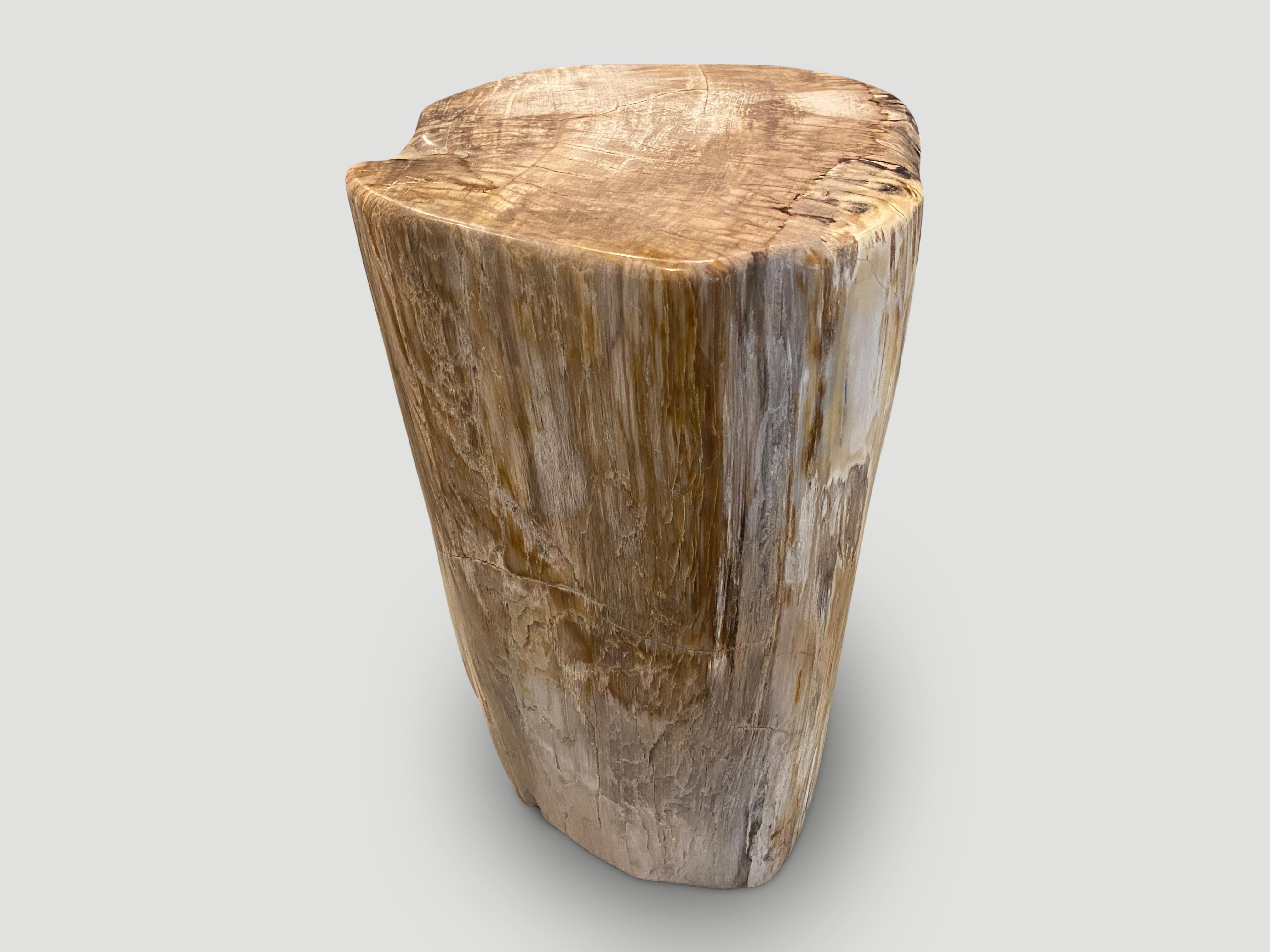 Andrianna Shamaris High Quality Petrified Wood Pedestal or Side Table In Excellent Condition For Sale In New York, NY