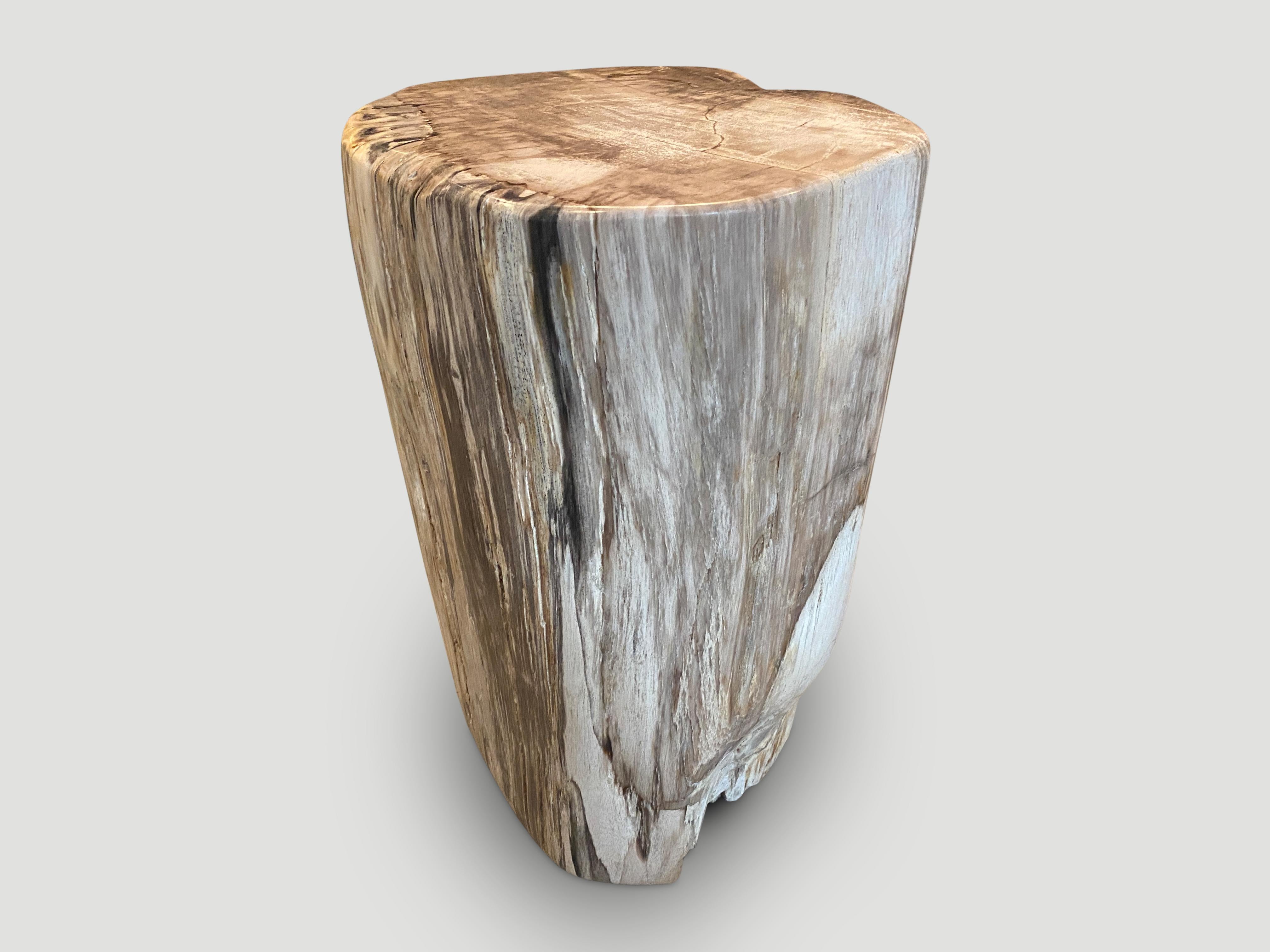 Contemporary Andrianna Shamaris High Quality Petrified Wood Pedestal or Side Table For Sale