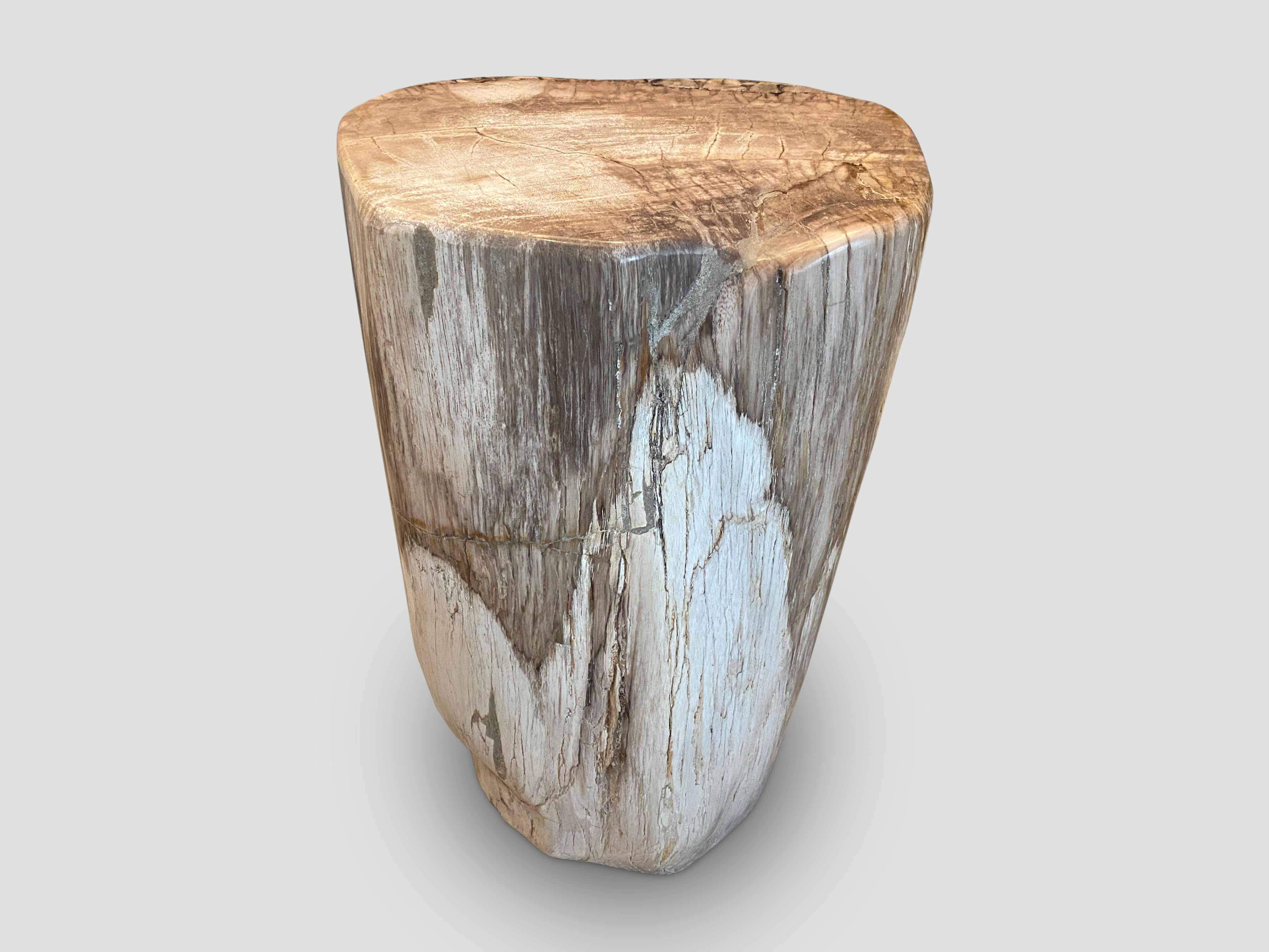 Andrianna Shamaris High Quality Petrified Wood Pedestal or Side Table For Sale 1