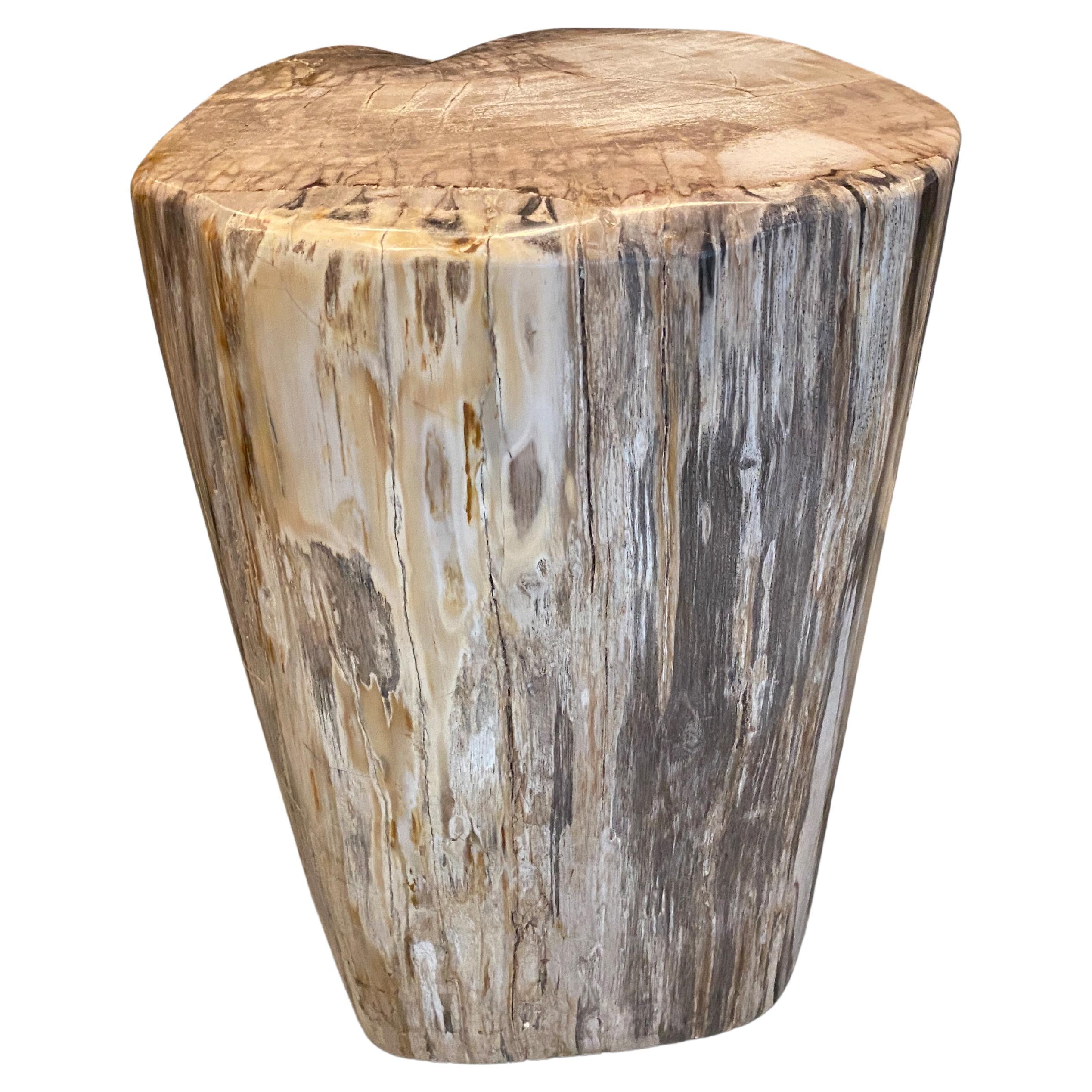 Andrianna Shamaris High Quality Petrified Wood Pedestal or Side Table For Sale