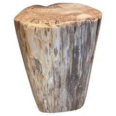 Andrianna Shamaris High Quality Petrified Wood Pedestal or Side Table