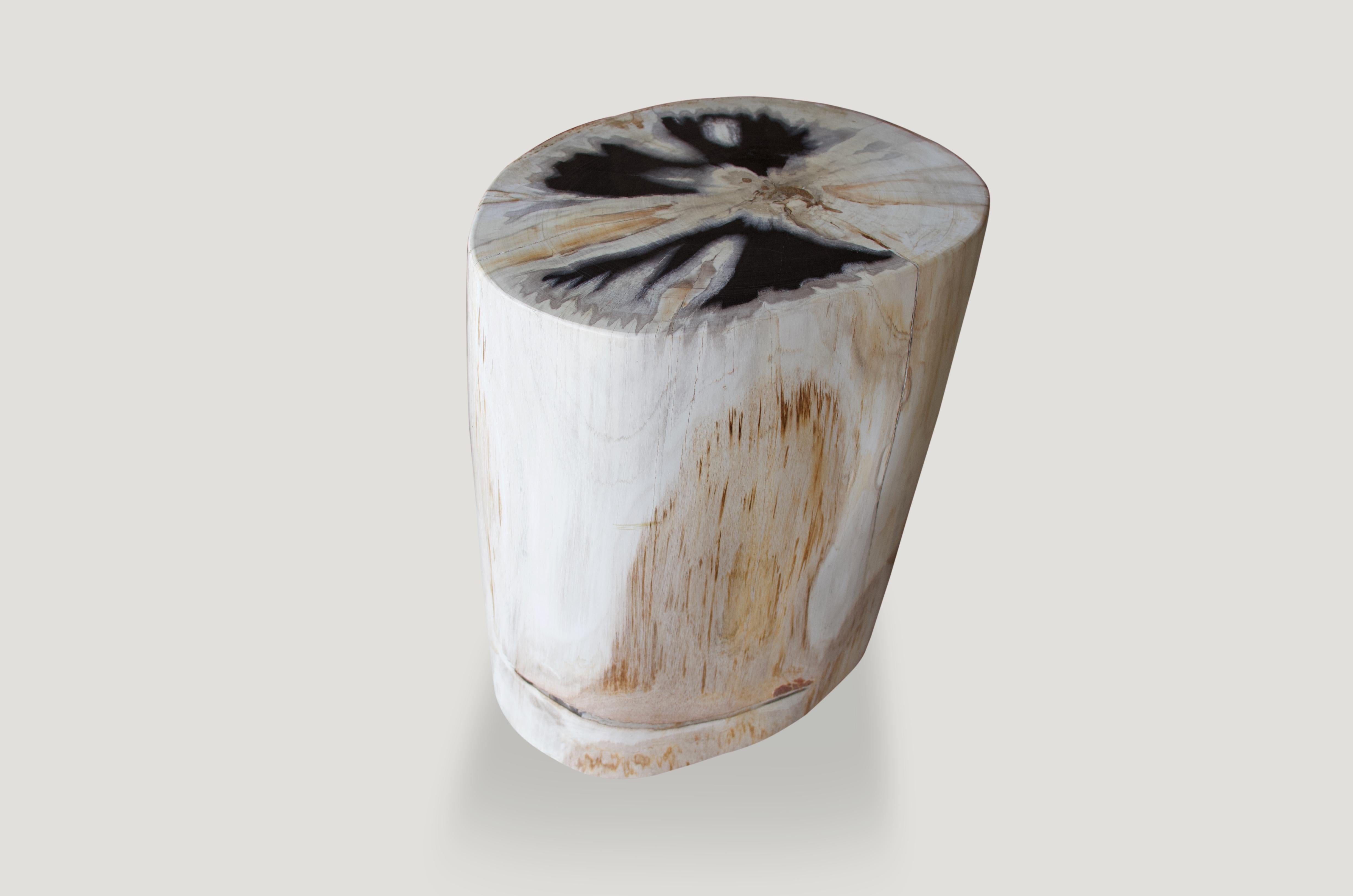 Stunning, contrasting tones in this super smooth, high quality petrified wood side table.

As with a diamond, we polish the highest quality fossilized petrified wood, using our latest ground breaking technology, to reveal its natural beauty and