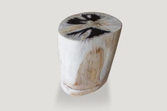 Andrianna Shamaris High Quality Petrified Wood Side Table