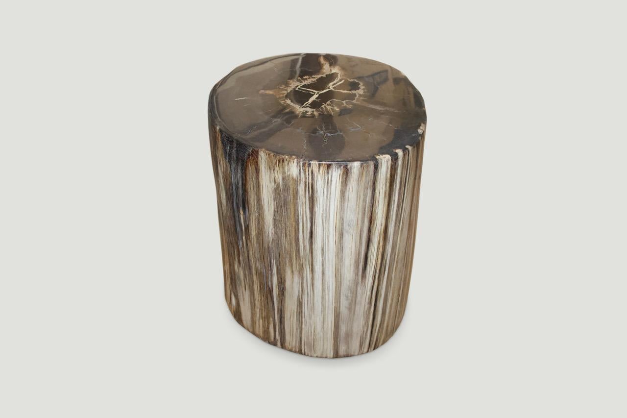 Stunning, contrasting tones on this super smooth, high quality petrified wood side table. We have a collection of five all cut from the same log. The price reflects one.

As with a diamond, we polish the highest quality fossilized petrified wood,