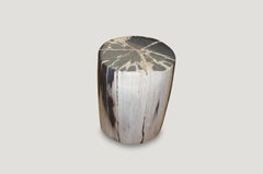 Andrianna Shamaris High Quality Petrified Wood Side Table