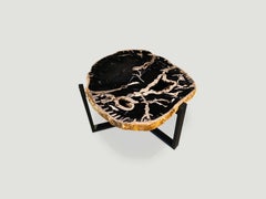 Andrianna Shamaris High Quality Petrified Wood Side Table