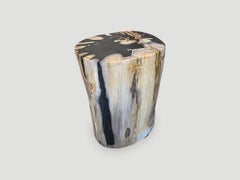 Andrianna Shamaris High Quality Petrified Wood Side Table